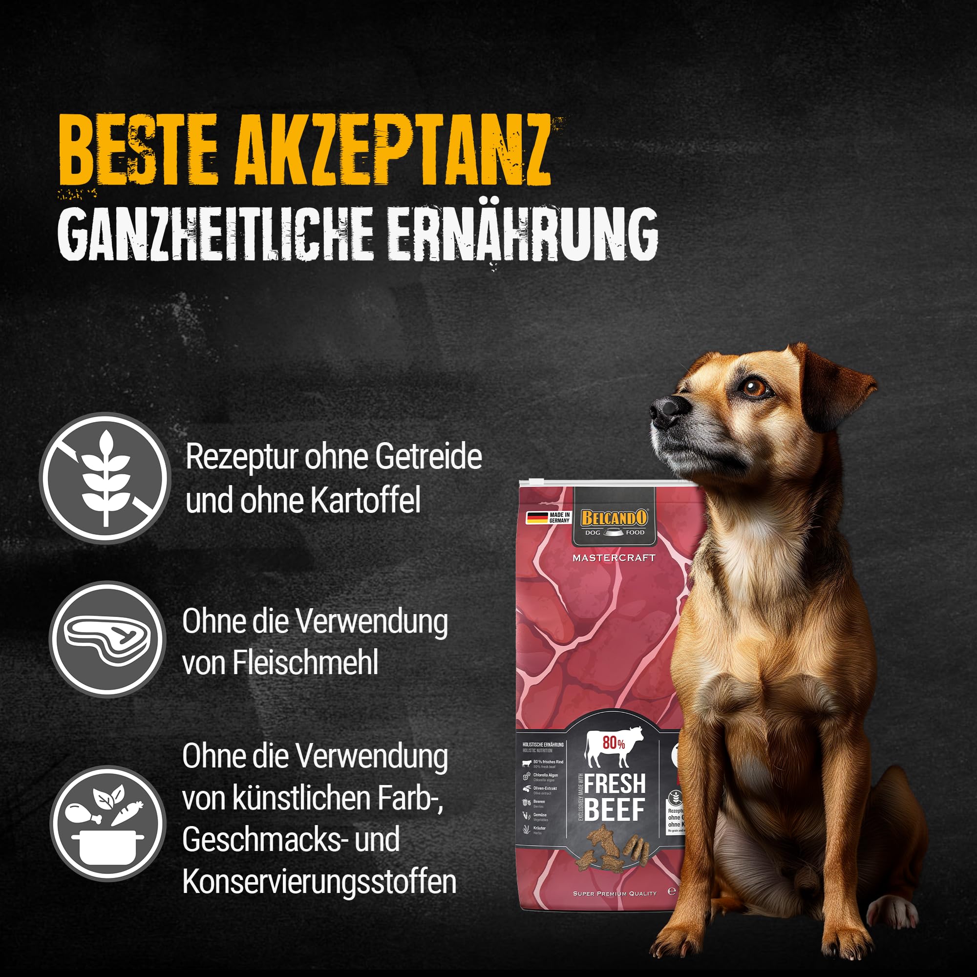 BELCANDO MASTERCRAFT sucha karma dla psów Fresh Beef, 10 kg, sucha karma dla psów z wołowiną, 80% świeżego mięsa, bez zbóż, dla wszystkich ras, Made in Germany