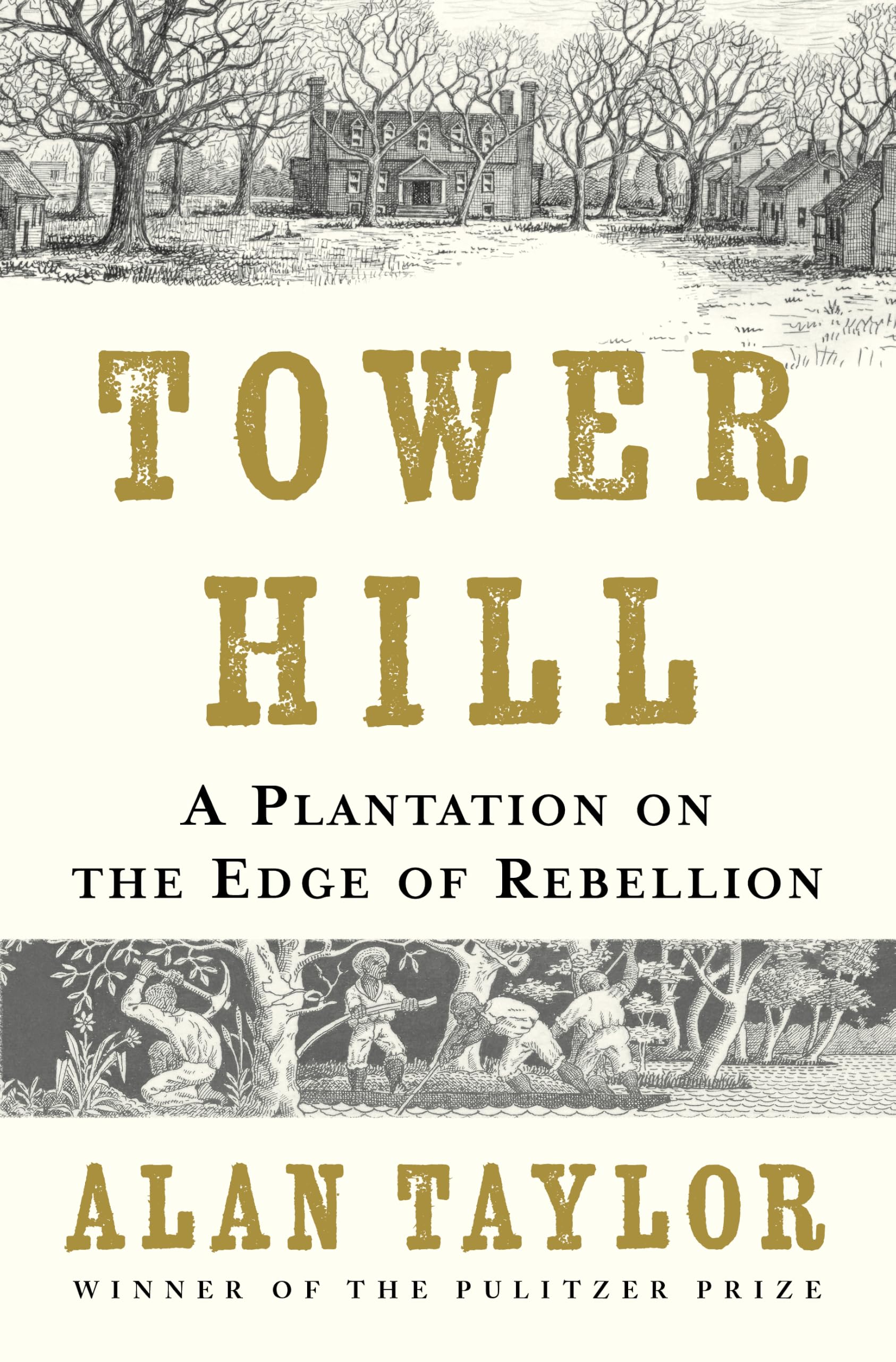 Tower Hill: A Plantation on the Edge of Rebellion