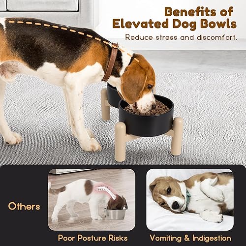 Miniatura 6 de Juego de cuencos elevados de cerámica para perros, juego de cuencos elevados para alimentos y agua, cuencos dobles para perros con soporte