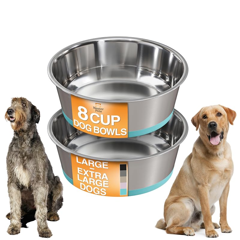 Tigelas para cães em aço inoxidável com base de silicone antiderrapante Neater Pet Brands, conjunto com 2, 1,89 L, Teal