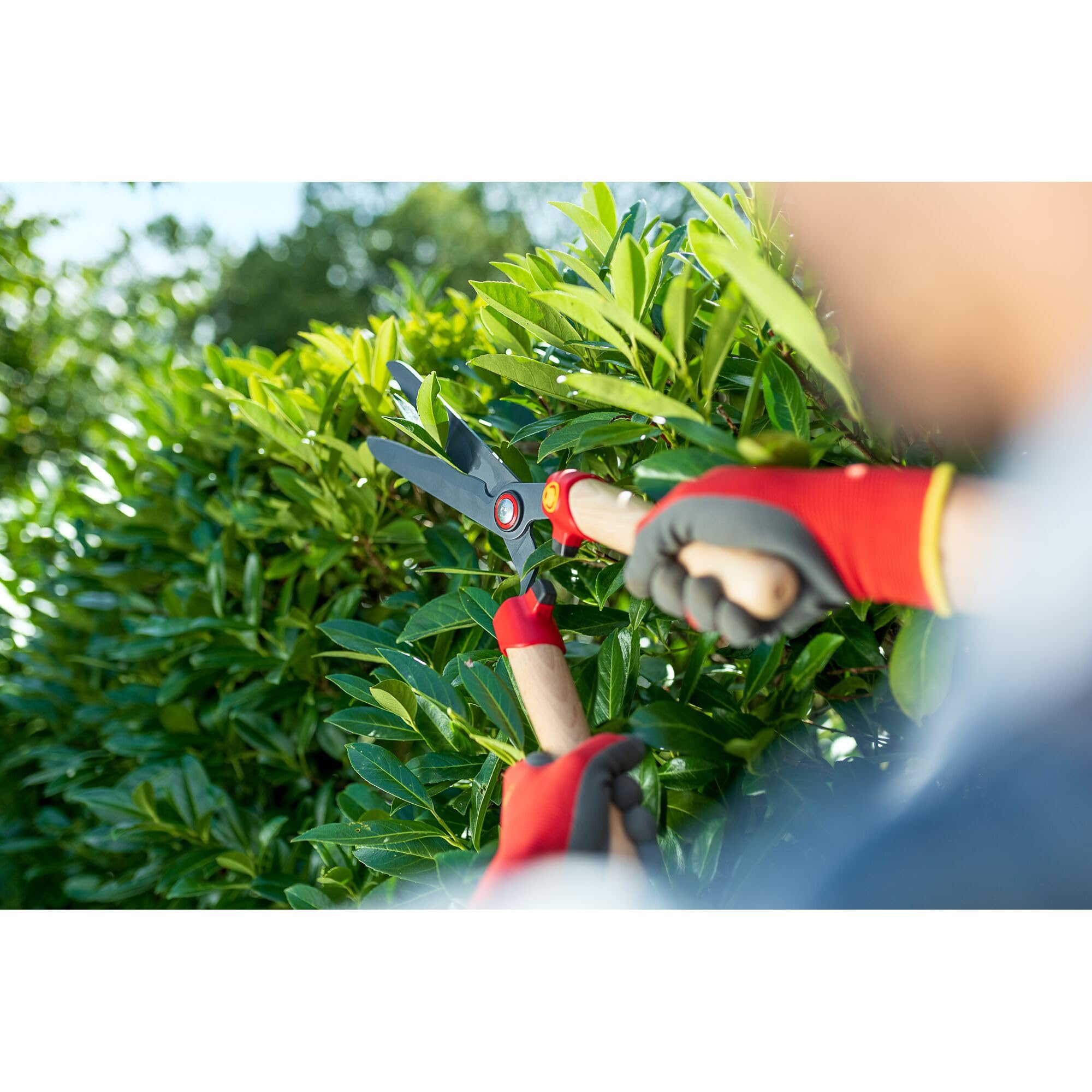 WOLF-Garten | Heckenschere HS-WW mit Wellenschliff und Holzgriff; 73AHA007650, Rot