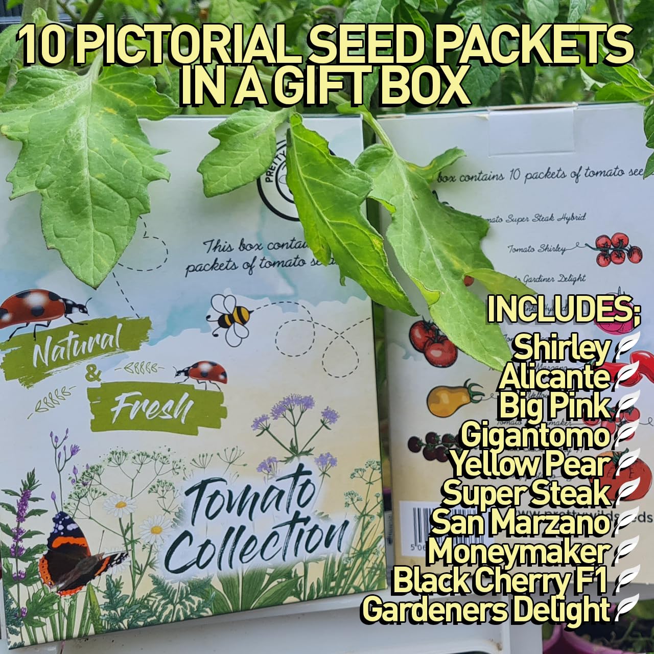 Vegetable Herb Tomato Seed Gift Box with 10 Pictorial Packets of Seed Great Gift Present Gardener Allotment (Tomato Collection Gift Box)