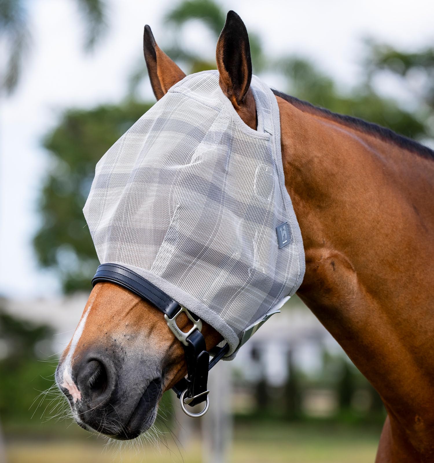 Masque anti-mouches Horseware Newmarket Cob gris anthracite pour la protection du cheval