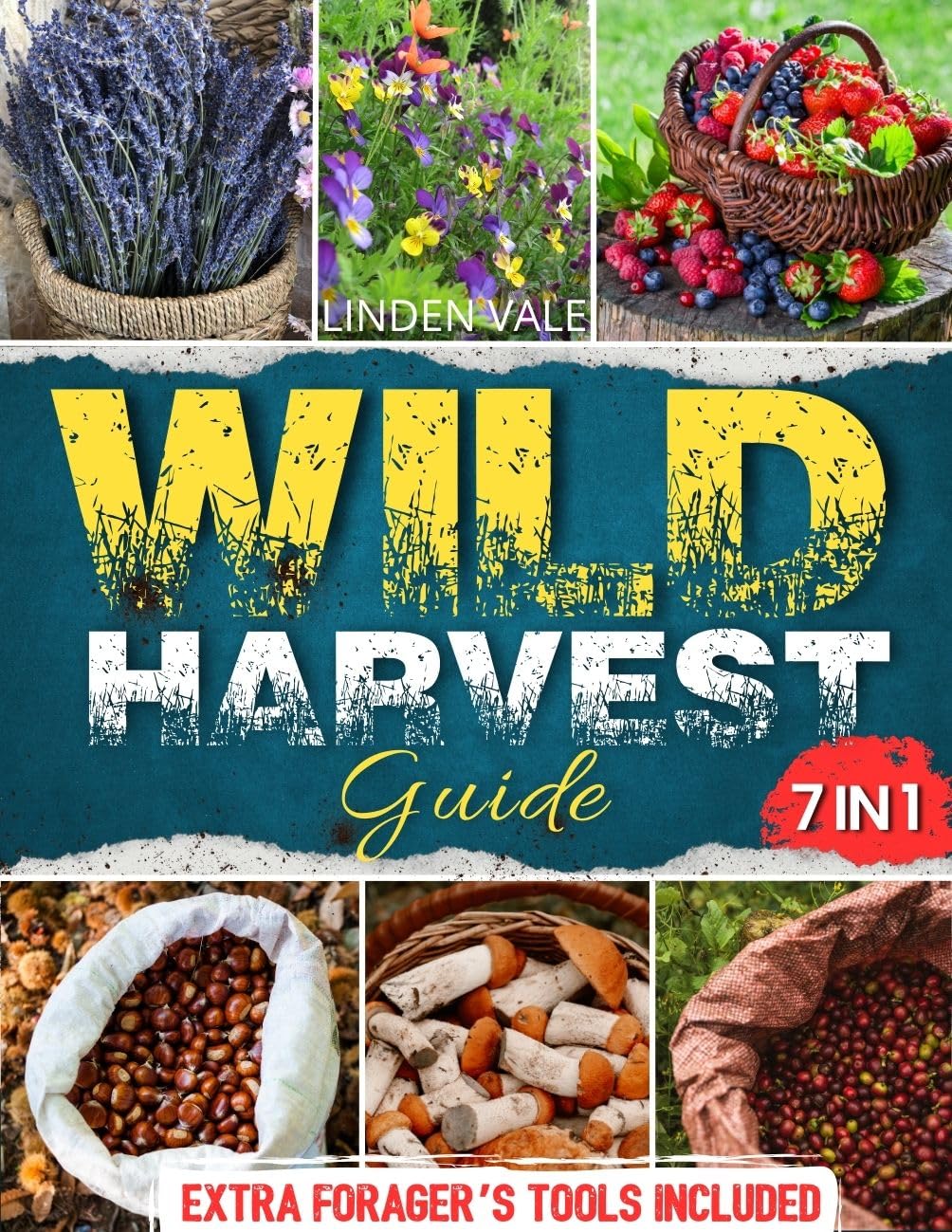 Wild Harvest Guide: The Reliable Guide to Safely Identify Edible, Medicinal, and Toxic Plants | +100 Detailed Images, Food Preservation, and Wild Pantry Practices to Master Foraging Without Risks      Kindle Edition