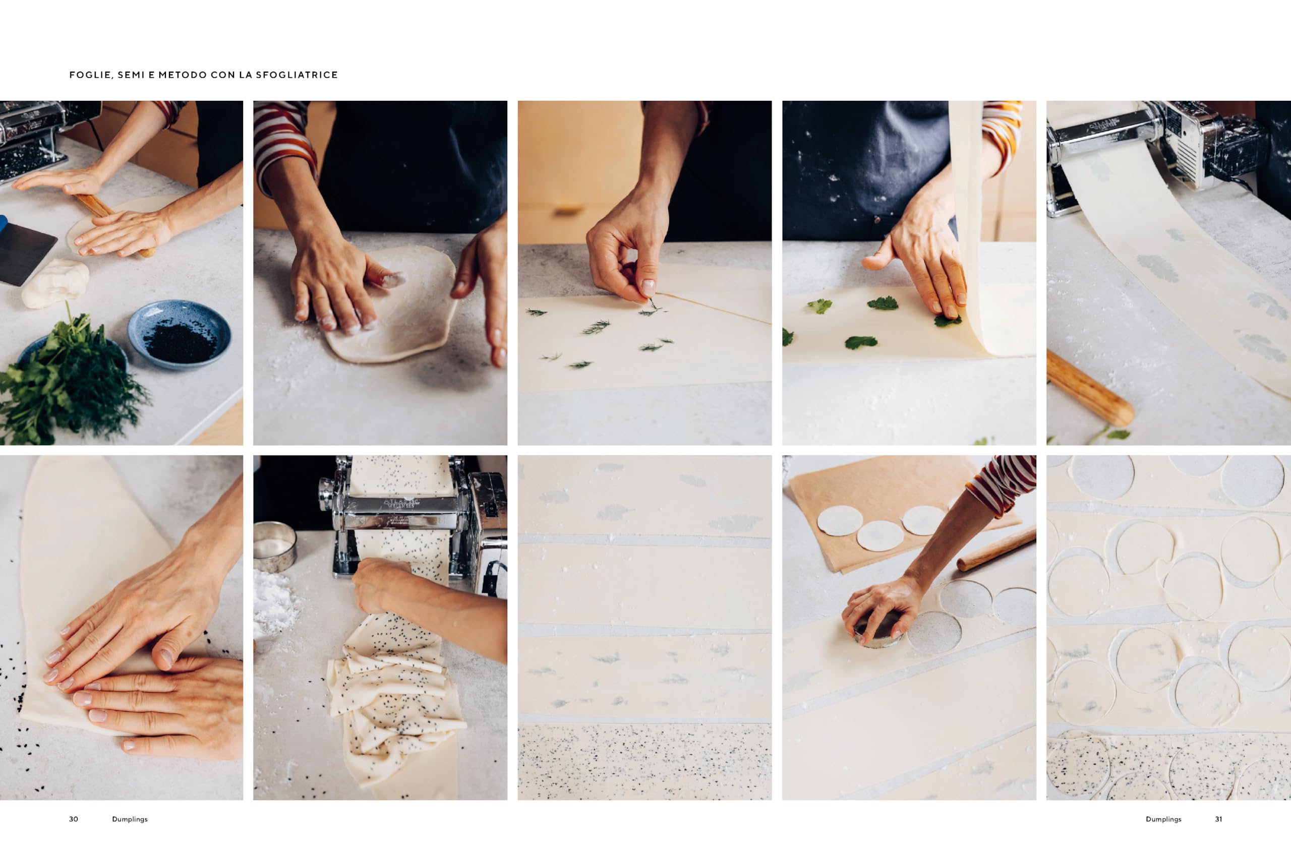 Dumplings & noodles. Bao, Gyoza, Biang Biang, Ramen e molto altro