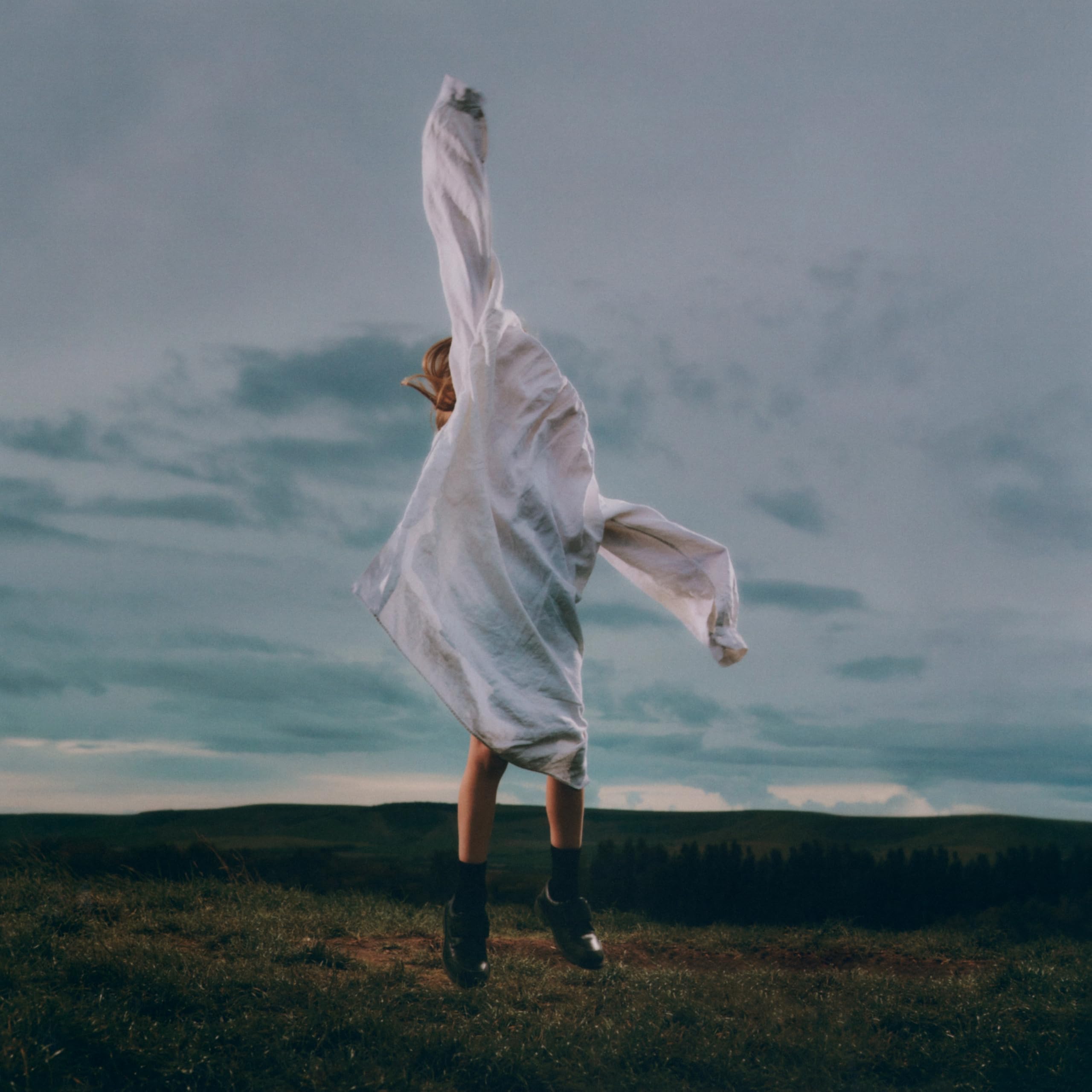 Birding [VINYL]