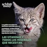 Ver la foto 7