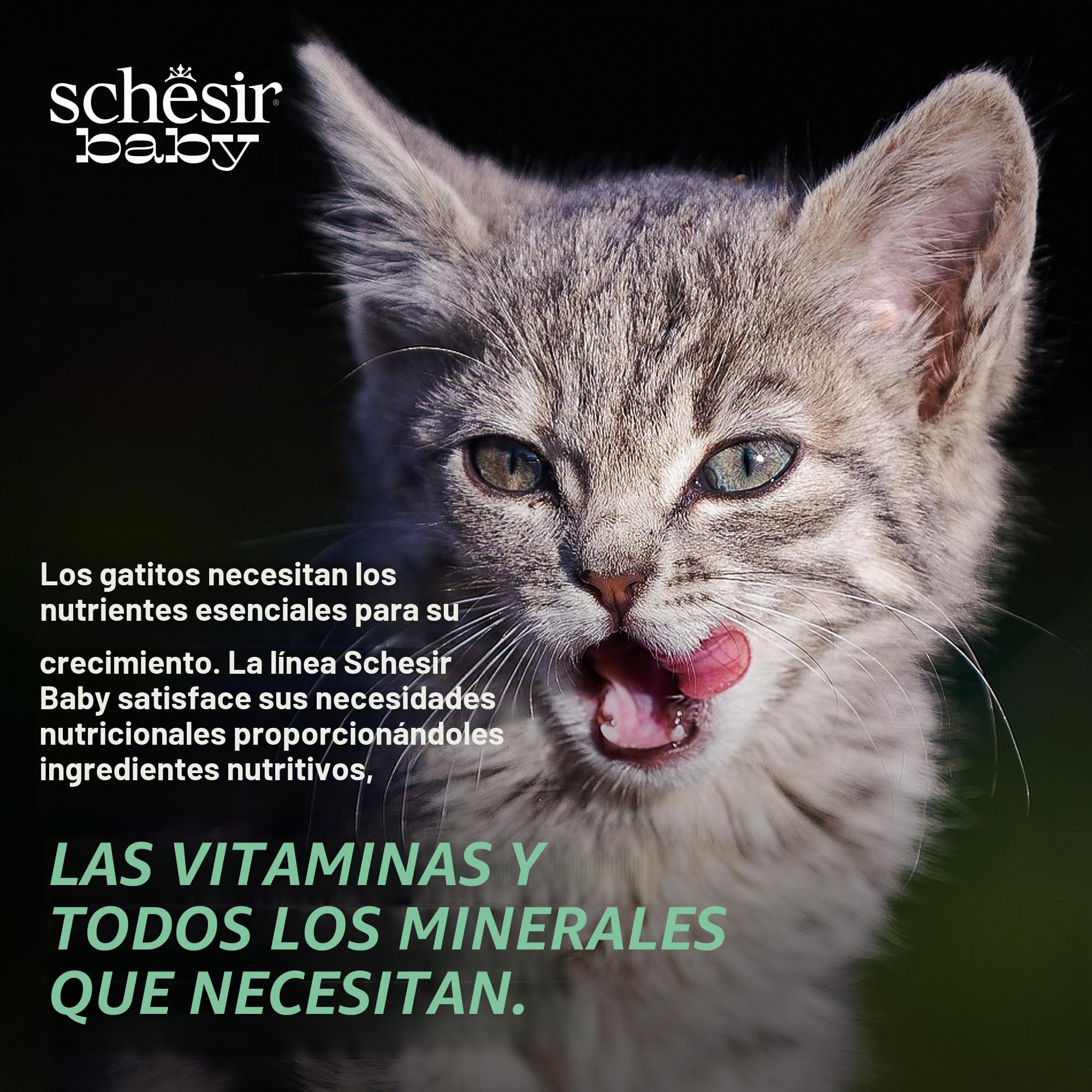 Schesir Baby Thrive, Gusto de Pollo, Comida Humeda para gattos (20 sobre x 8g)