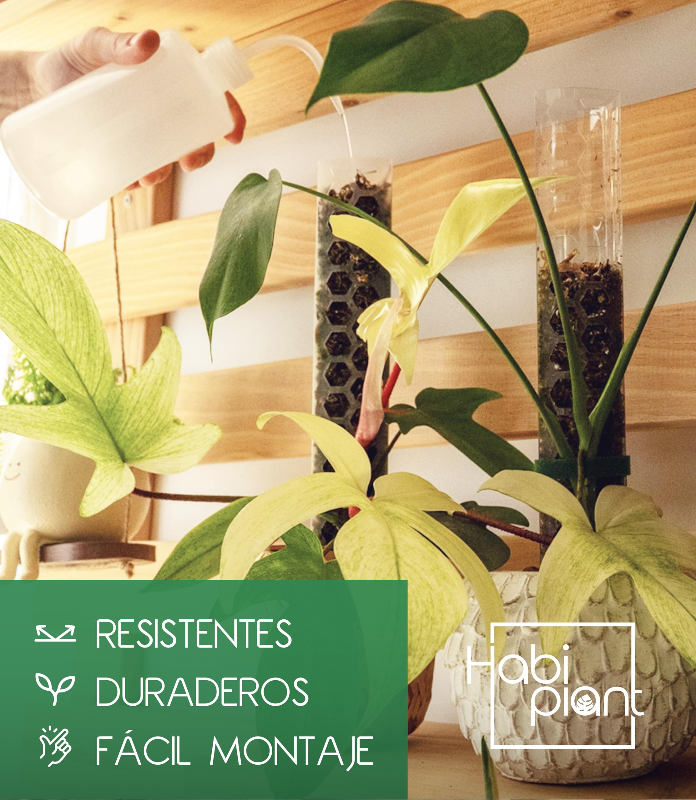 Set 6 Tutores de Musgo para Monstera Plantas Trepadoras de Interior Incluye Musgo Sphagnum 200g y Velcro 5m Tamaños L/M/S Soporte de Plastico Extensible Ideal Pothos Philodendron Aroides