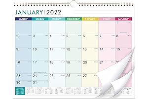 2025 Wall Calendar: Elevate Your Home Organization