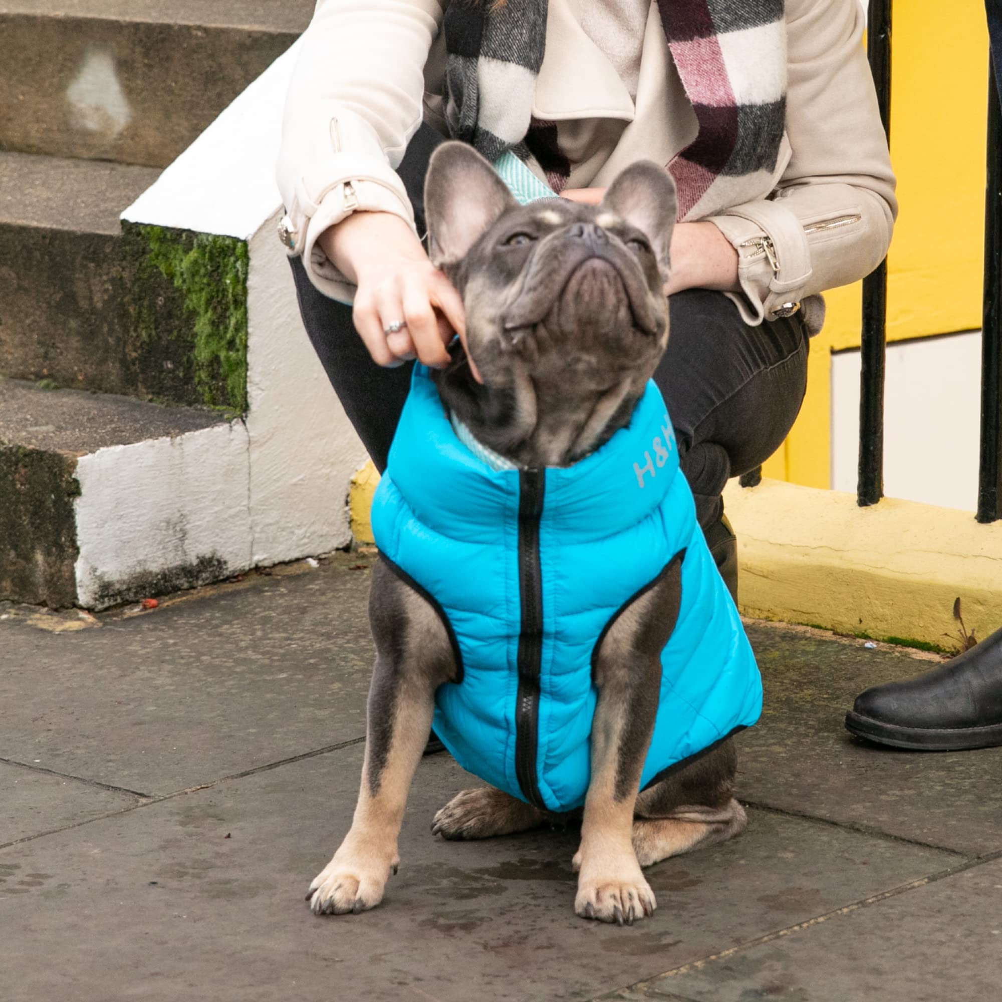 HUGO & HUDSON Giacca imbottita invernale calda reversibile per cani, impermeabile, Blu turchese e grigio, S35