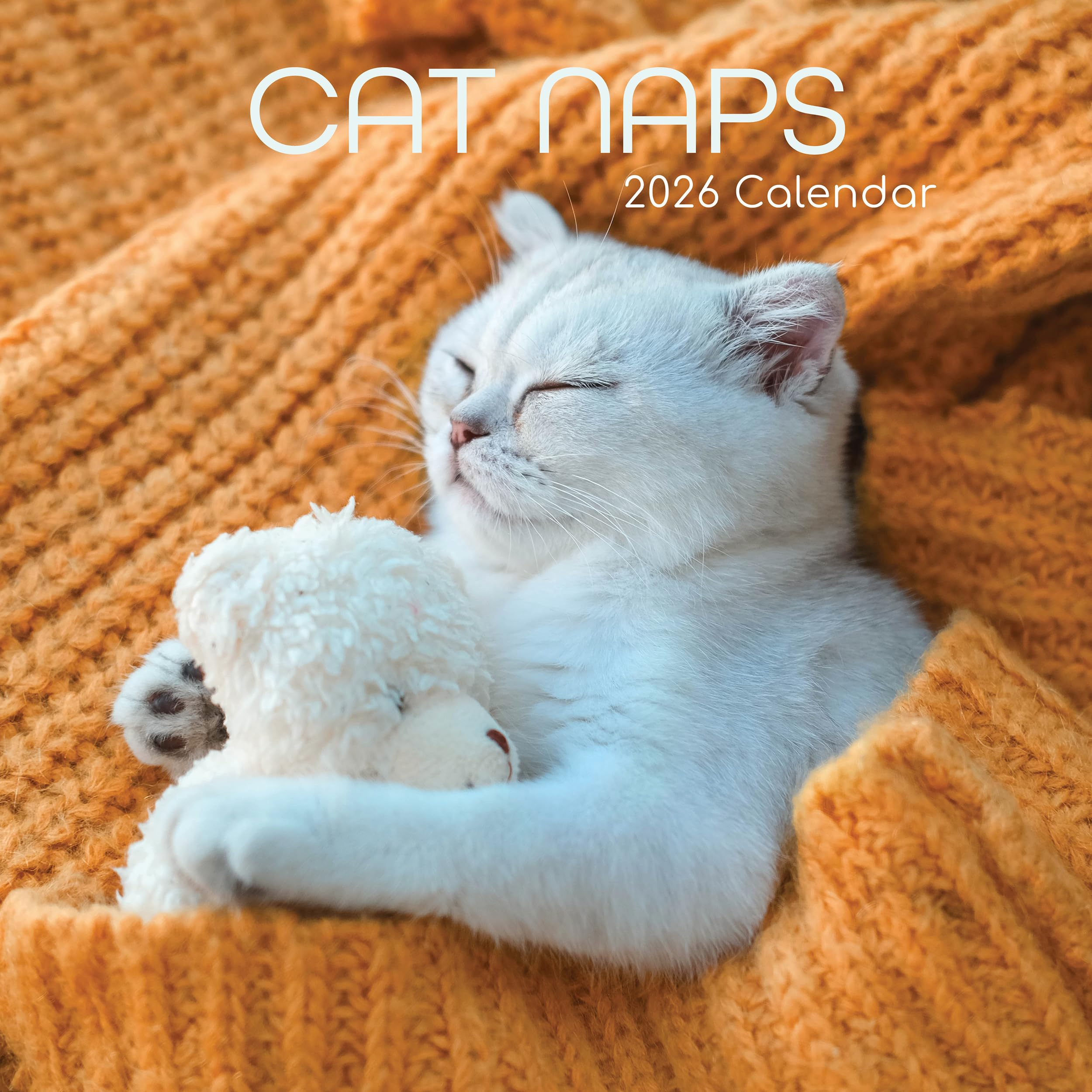TGSC | Cat Naps 2026 Calendar 16 Month (Sept 2025-Dec 2026) Family Square Wall Calendar 2026 UK | Planner with Large Grid for Home or Office Organisation - Animals 2026/2025 Calendar UK