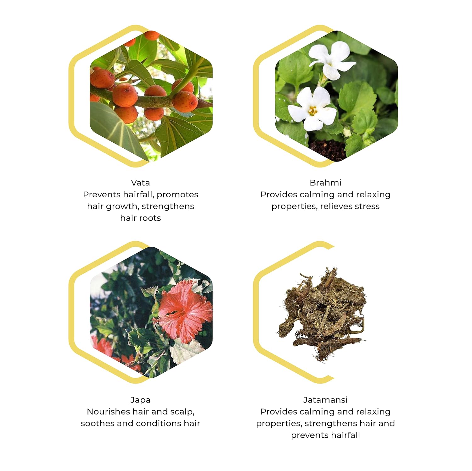 Abhinav G3 Hair OIl - Reduces Hair fall & Greying of hair (Pack of 2) | Reduces Hair Fall | Improve nourishment of hair and scalp Abhinav G3 Hair OIl - Reduces Hair fall & Greying of hair (Pack of 2) | Reduces Hair Fall | Improve nourishment of hair and scalp