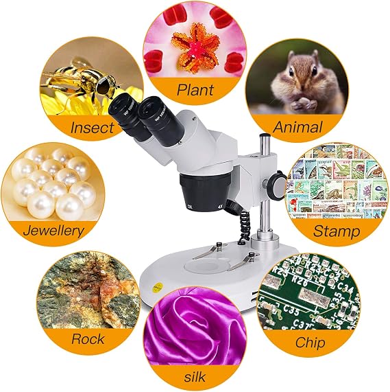 Swift S306S-20-2L Binocular Stereo Microscope, 20X/40X/80X Magnification, 360 Rotatable Forward-Mounted Head, Wide-Field 10X/20X Eyepieces, Upper & Lower LED Lights, Reversible Stage Plate