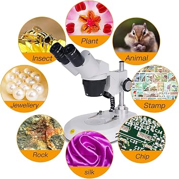 Swift S306S-20-2L Binocular Stereo Microscope, 20X/40X/80X Magnification, 360 Rotatable Forward-Mounted Head, Wide-Field 10X/20X Eyepieces, Upper & Lower LED Lights, Reversible Stage Plate