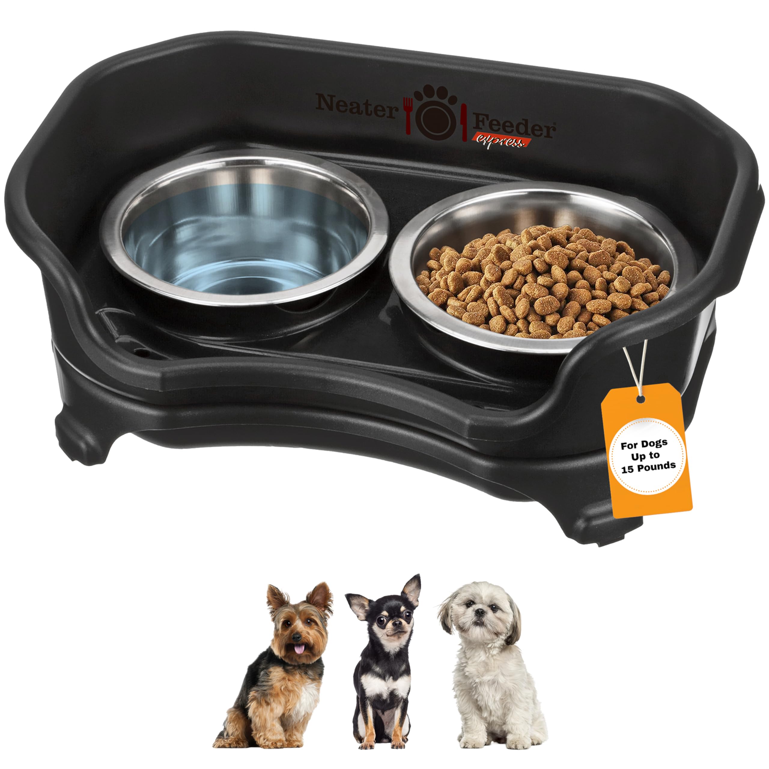 Express Mess Proof Dog Bowls Elevated for Small Breeds Under 15 Lb, Made in USA, No Spill Raised Dog Food Bowl Stand, Stainless Steel Food and Water Bowl Set, Feeding Station, Black