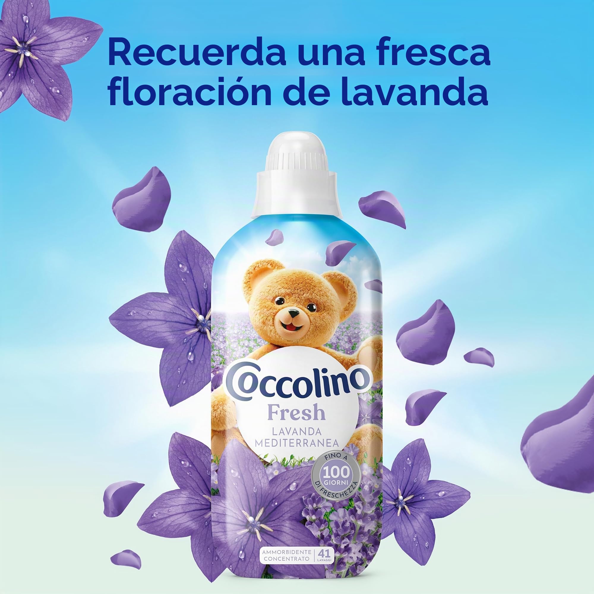 Coccolino Suavizante concentrado lavanda mediterránea, suavizante para lavadora, suavidad natural, frescor largo, 41 lavados, 8 x 952 ml