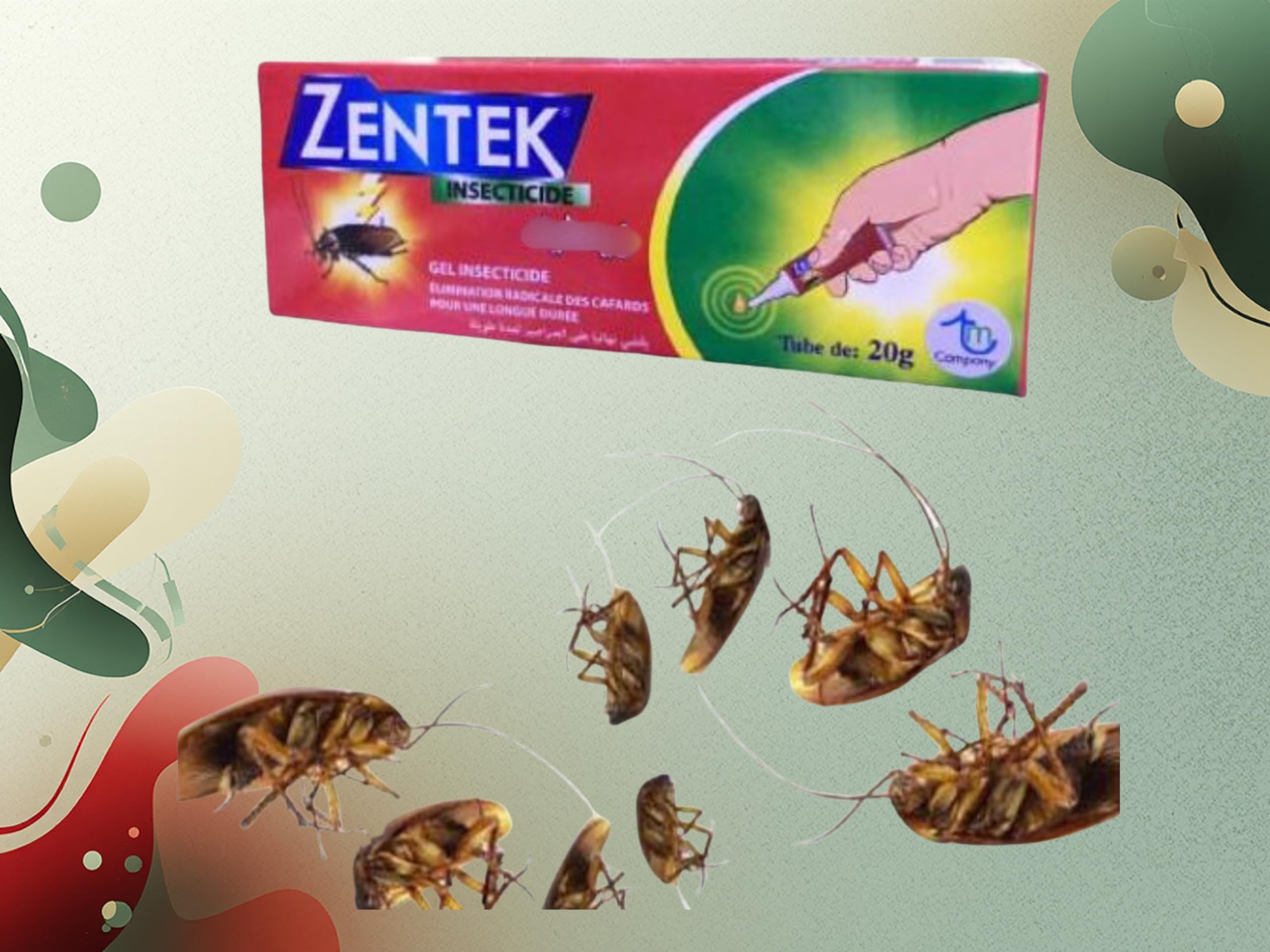 Gel Anti Cafards Extermination Totale En 24/48 h