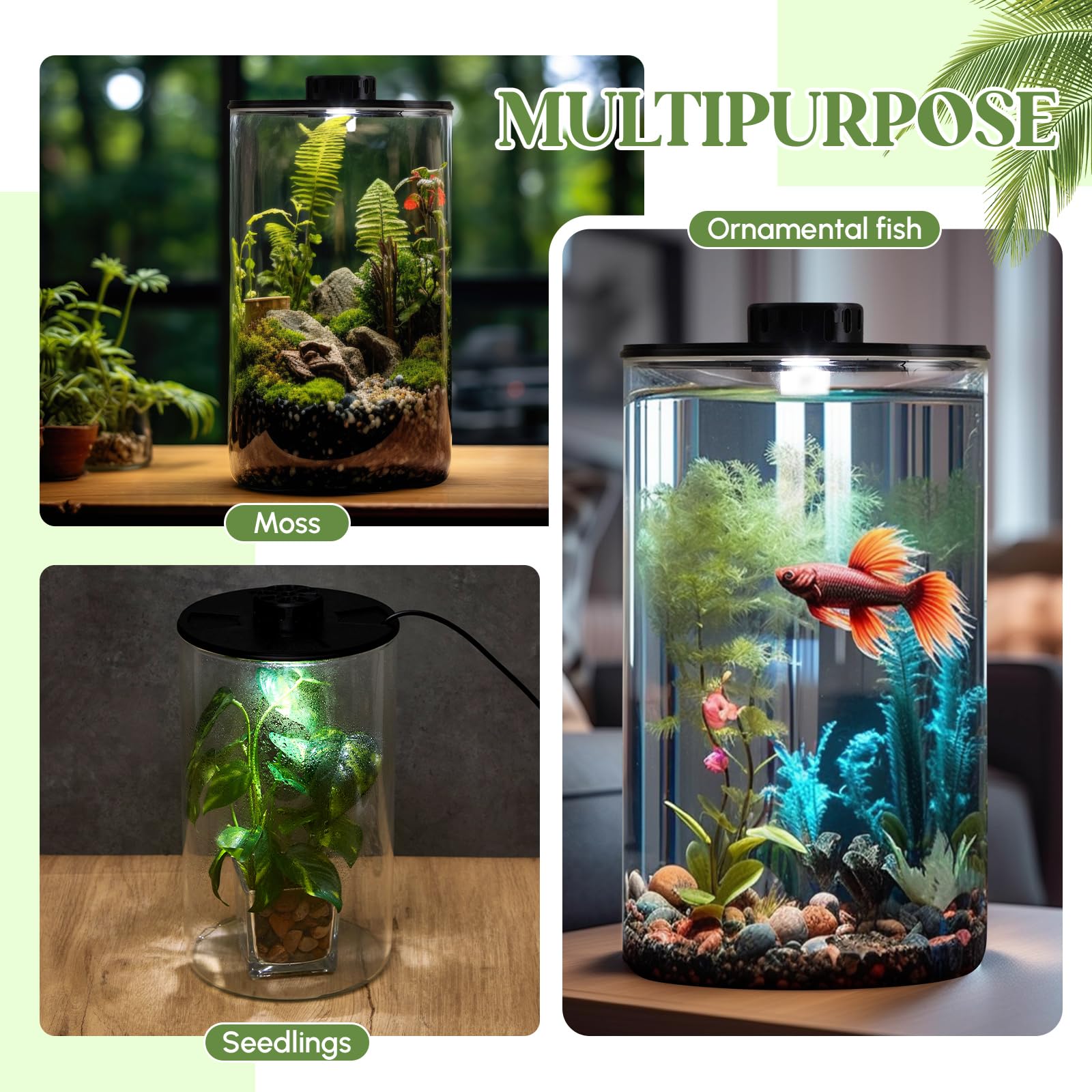Maxdot Zestaw do terrarium ze szklanymi roślinami ze światłem do sukulentów, mchu, miniaturowego krajobrazu ogrodniczego, akwarium Betta, wzrost roślin w pomieszczeniach, dekoracja domu, prezenty dla
