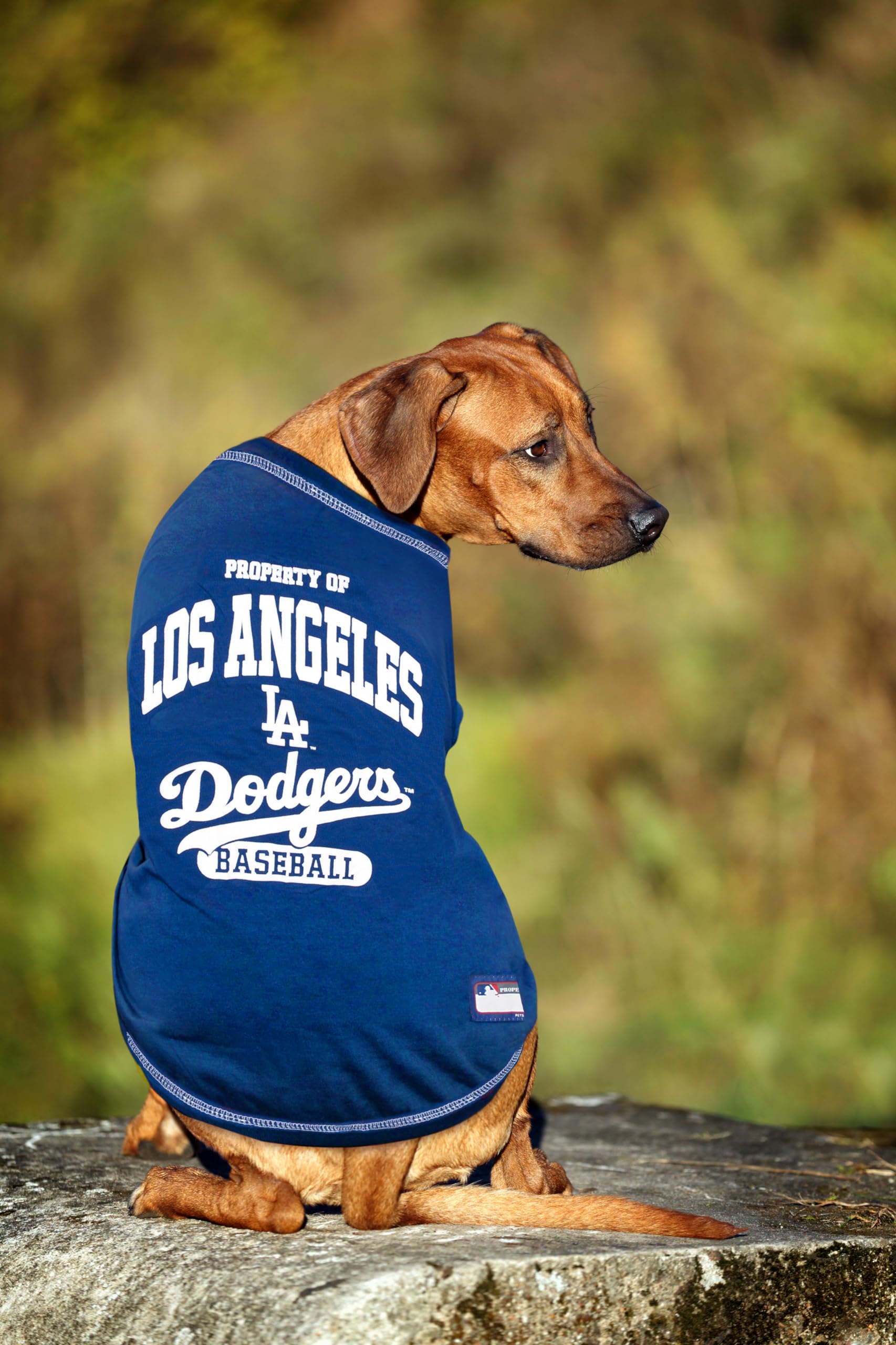 Mlb Jersey Dodger Dog Sweater Mlb Cat Dodgers Jersey MLB LA