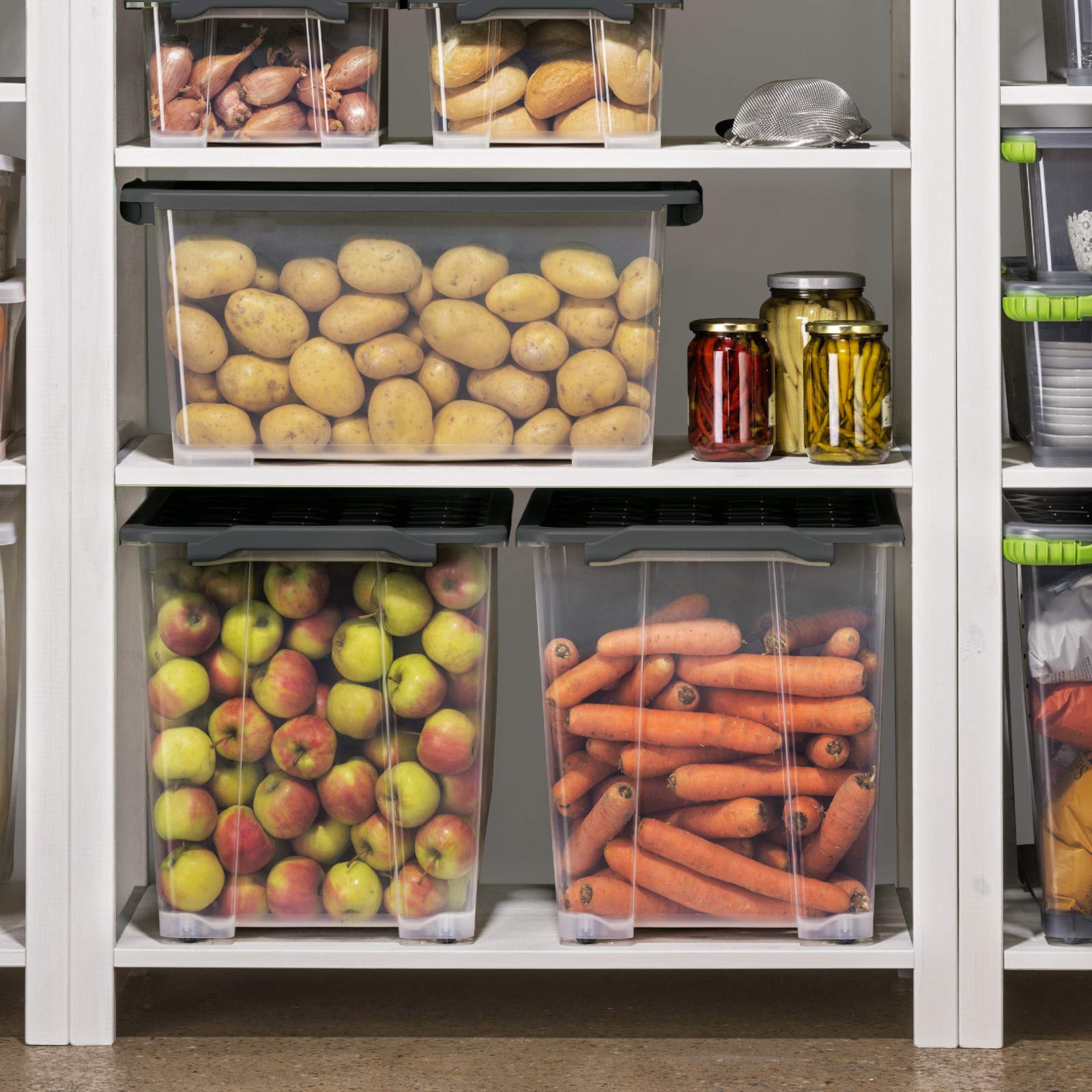 Rotho Evo Safe Keeping - Caja de Almacenamiento de 65 L con Tapa y Ruedas, Plástico Alimentario (PP) sin BPA, Gris Antracita, 65 L (59.0 x 39.5 x 41.2 cm)