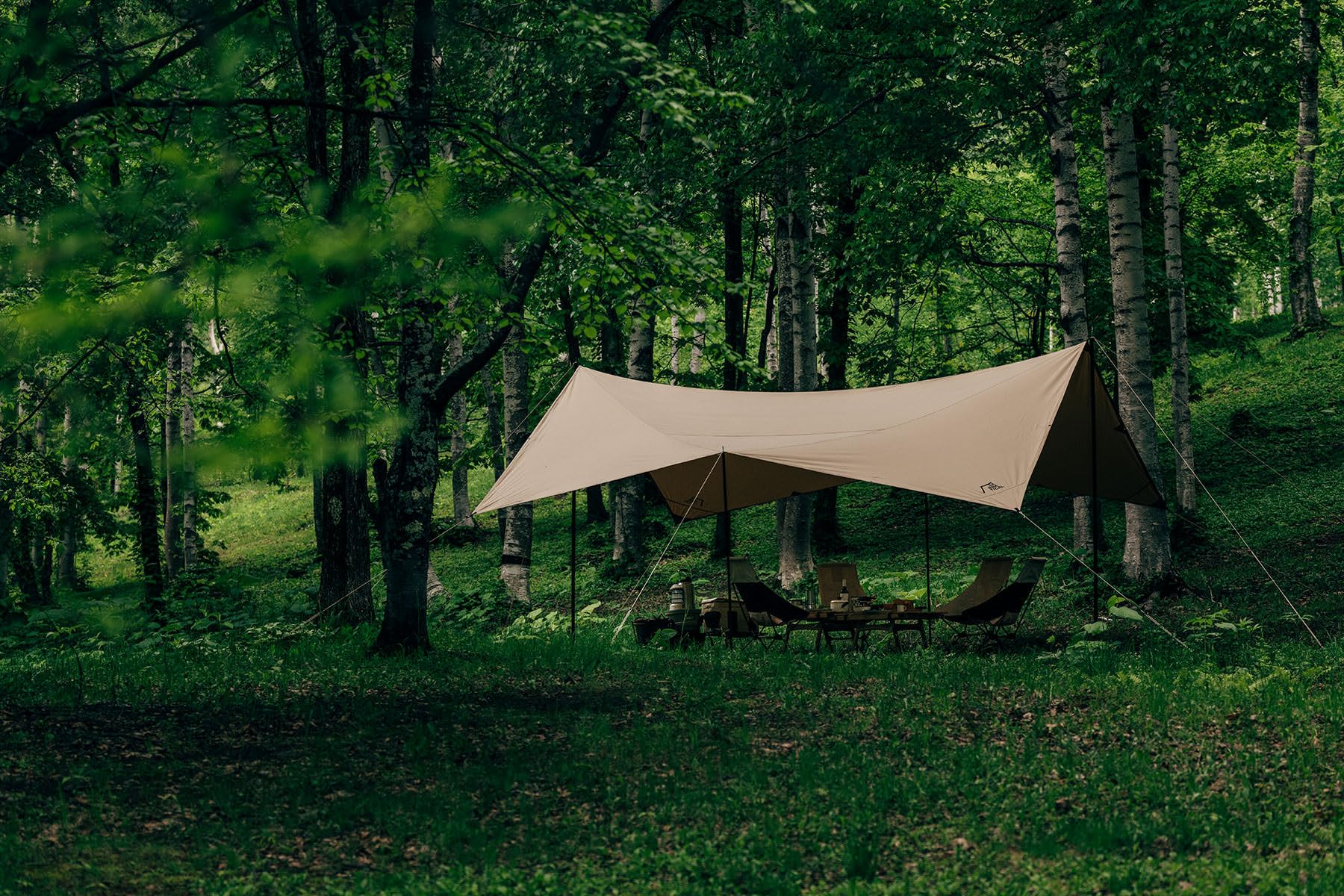 Amazon | サバティカル SABBATICAL マリポサ TC (Large) | SABBATICAL  