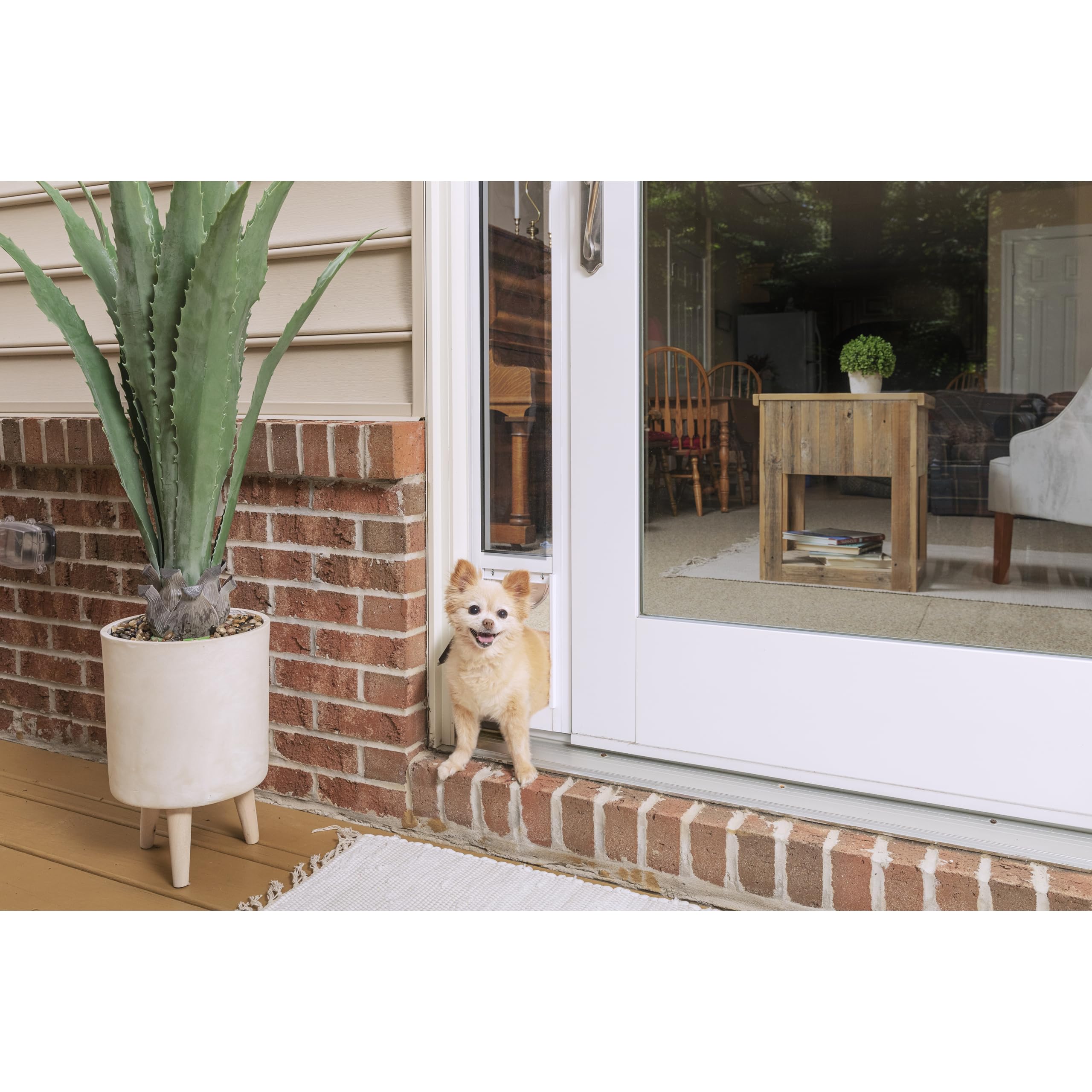 PetSafe Porte en Verre Coulissante pour Chats et Chiens en 2 pièces - Aucune Découpe, Durable, Résistant aux Intempéries - Petit