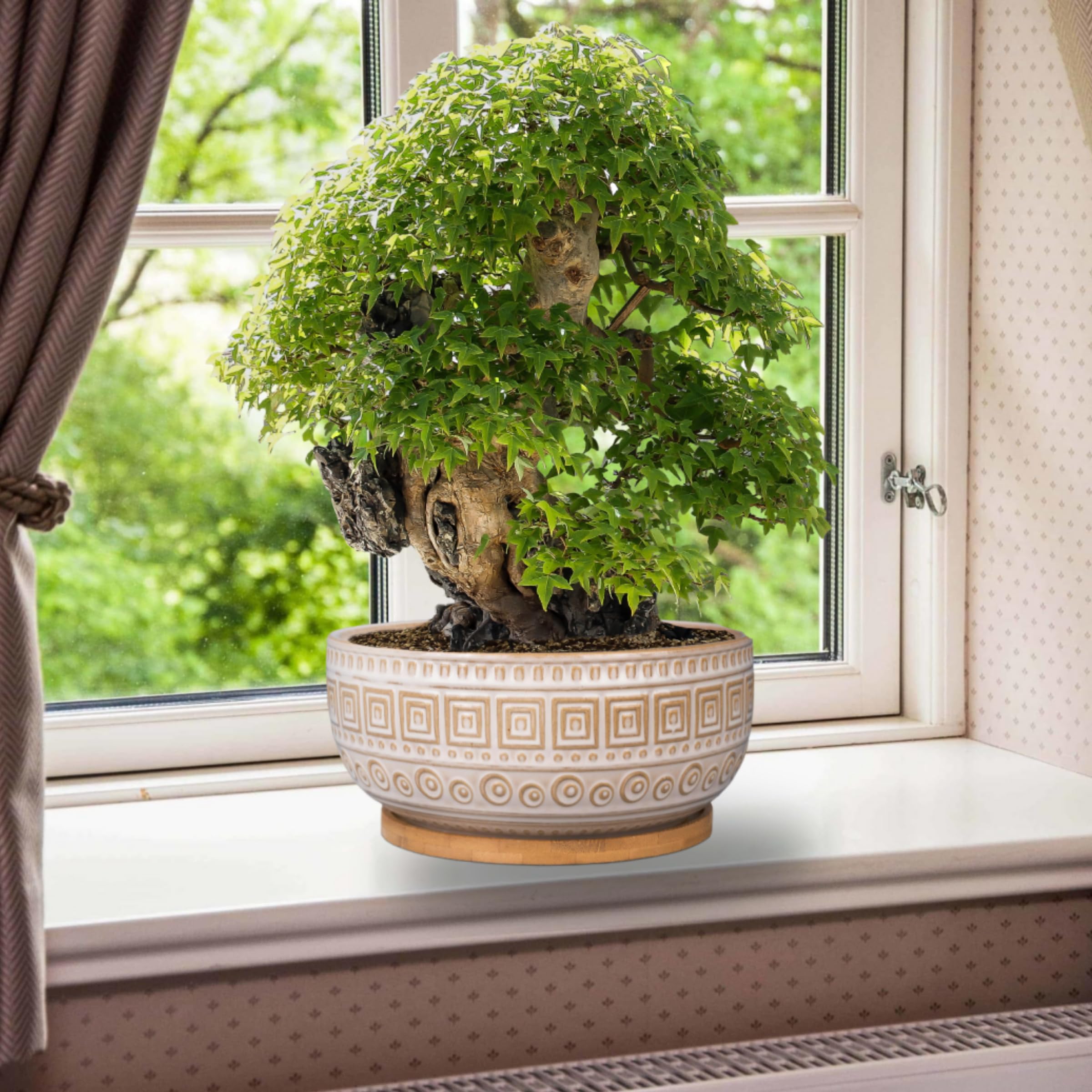 G EPGardening 20,5 cm Keramik-Sukkulenten-Übertöpfe, rund, flach, Bonsai-Pflanztopf für Zimmerpflanzen mit Drainage und Bambus-Untersetzer, Weiß