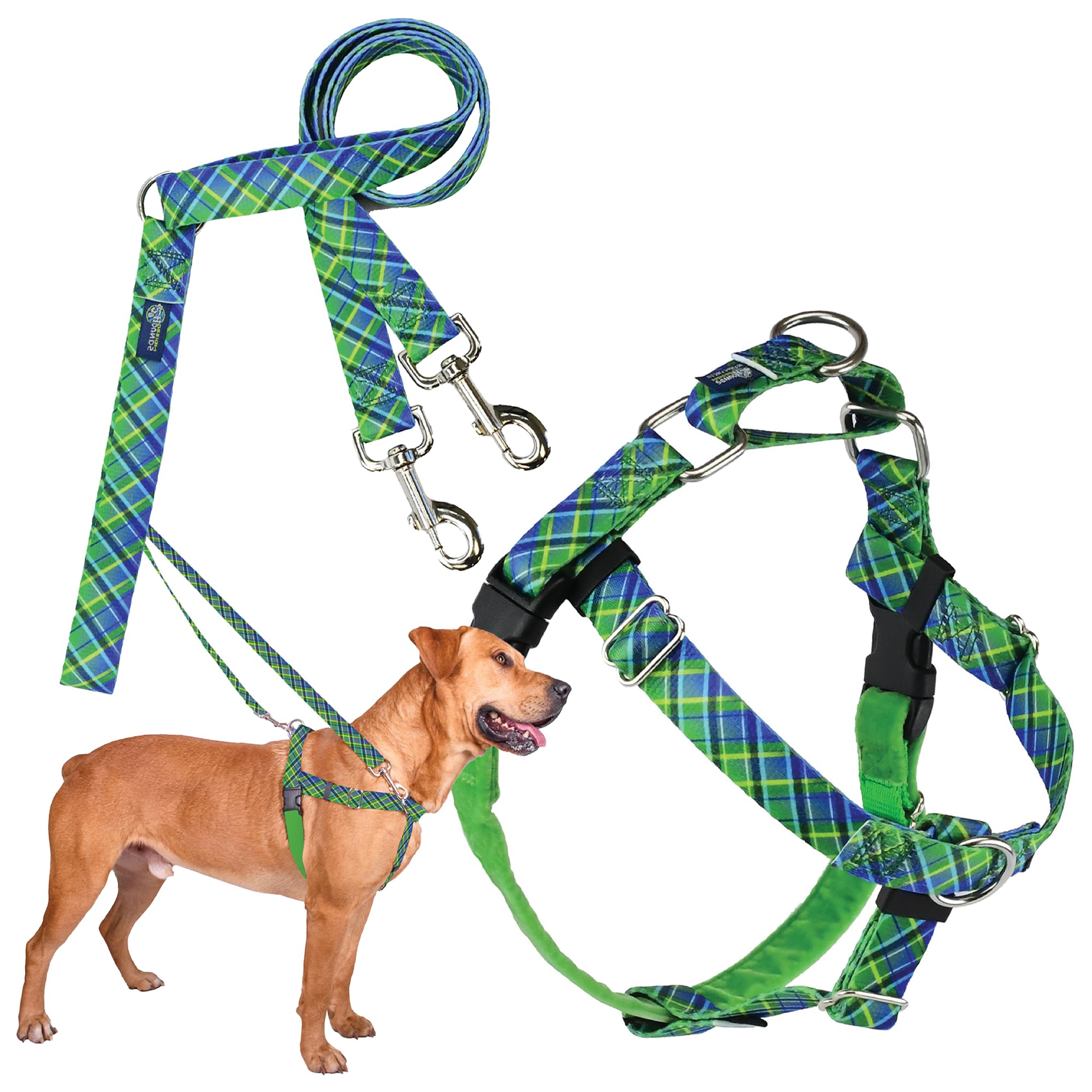 2 Hounds Design - Freedom No-Pull Harness & Training Leash in Green and Blue | Dual Leash Loops, No Pulling on Walks | Lined to Prevent Chaffing | for