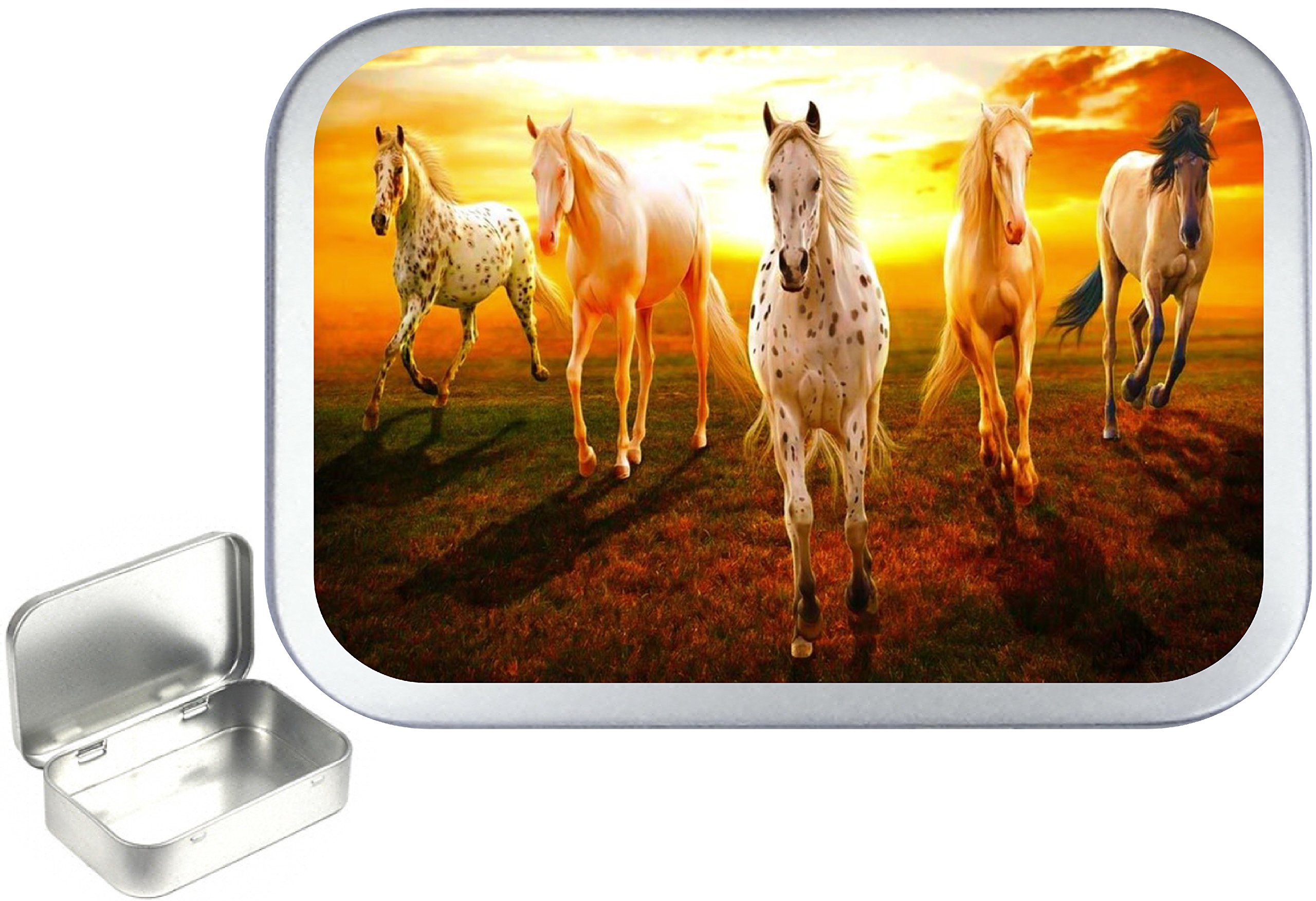 TEEZ Horse sunset 50ml silver hinged tin