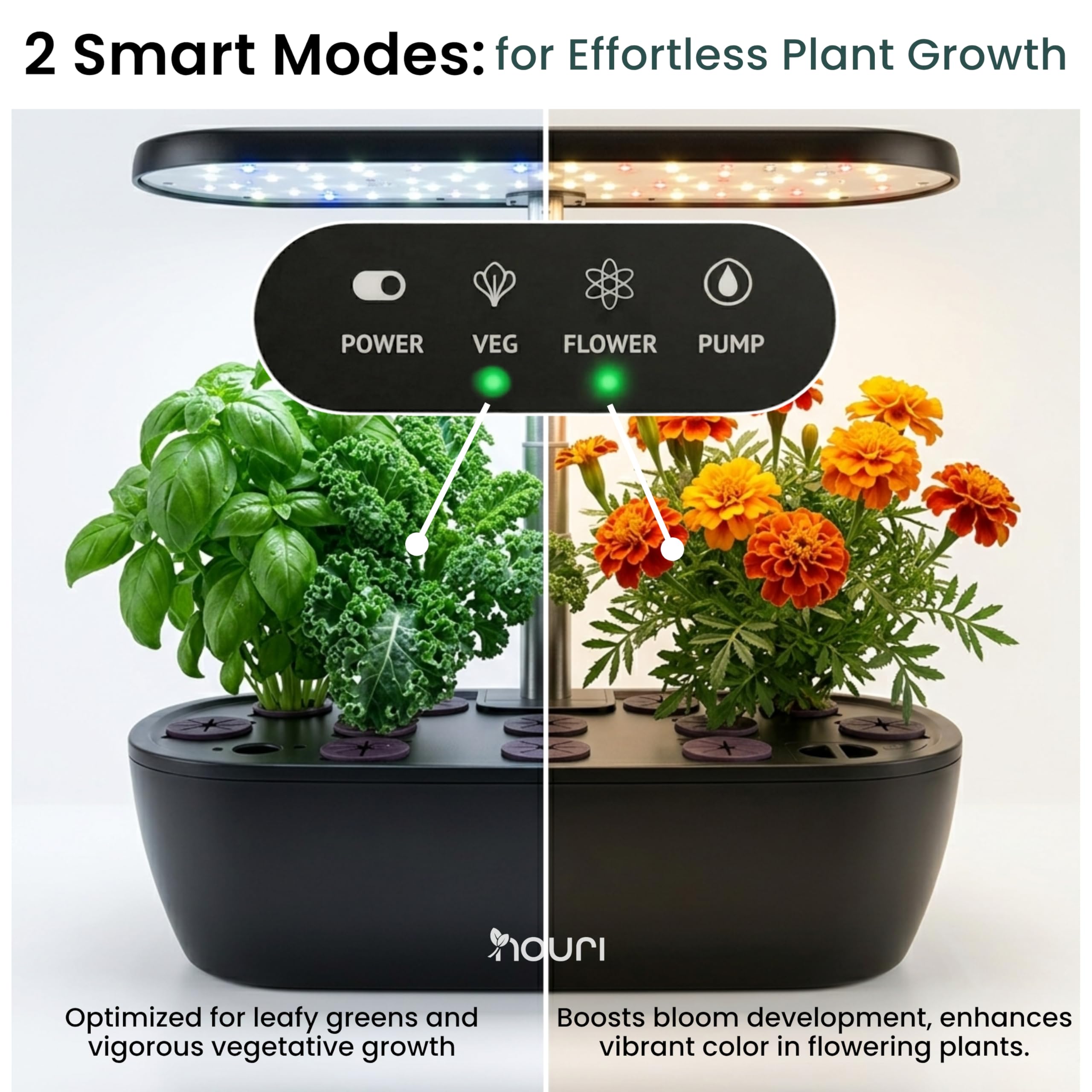 Nouri Hydroponisches Anzuchtsystem, 12 Hülsen Smart Indoor Kräutergarten Set mit App & LED-Wachstumslicht, Hydroponischer Kräutergarten für Zuhause & Küche, Salat Little Gem Samen inklusive