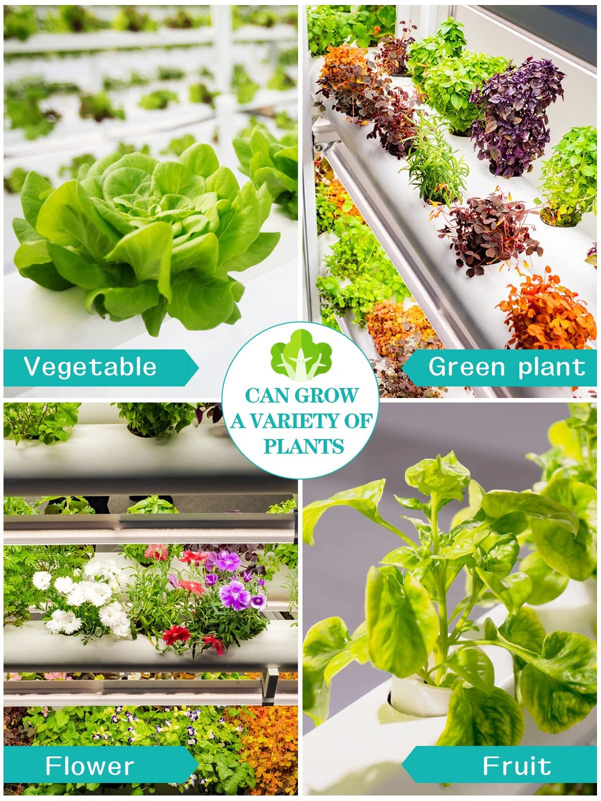 Kalolary Hydroponic Grow Kit, Hydroponics System de Cultivo 4 Capas 72 Sitios de Plantas Tuberías de Grado Equipo de plantación hidropónica con Bomba de Agua, Temporizador de Bomba para Verduras