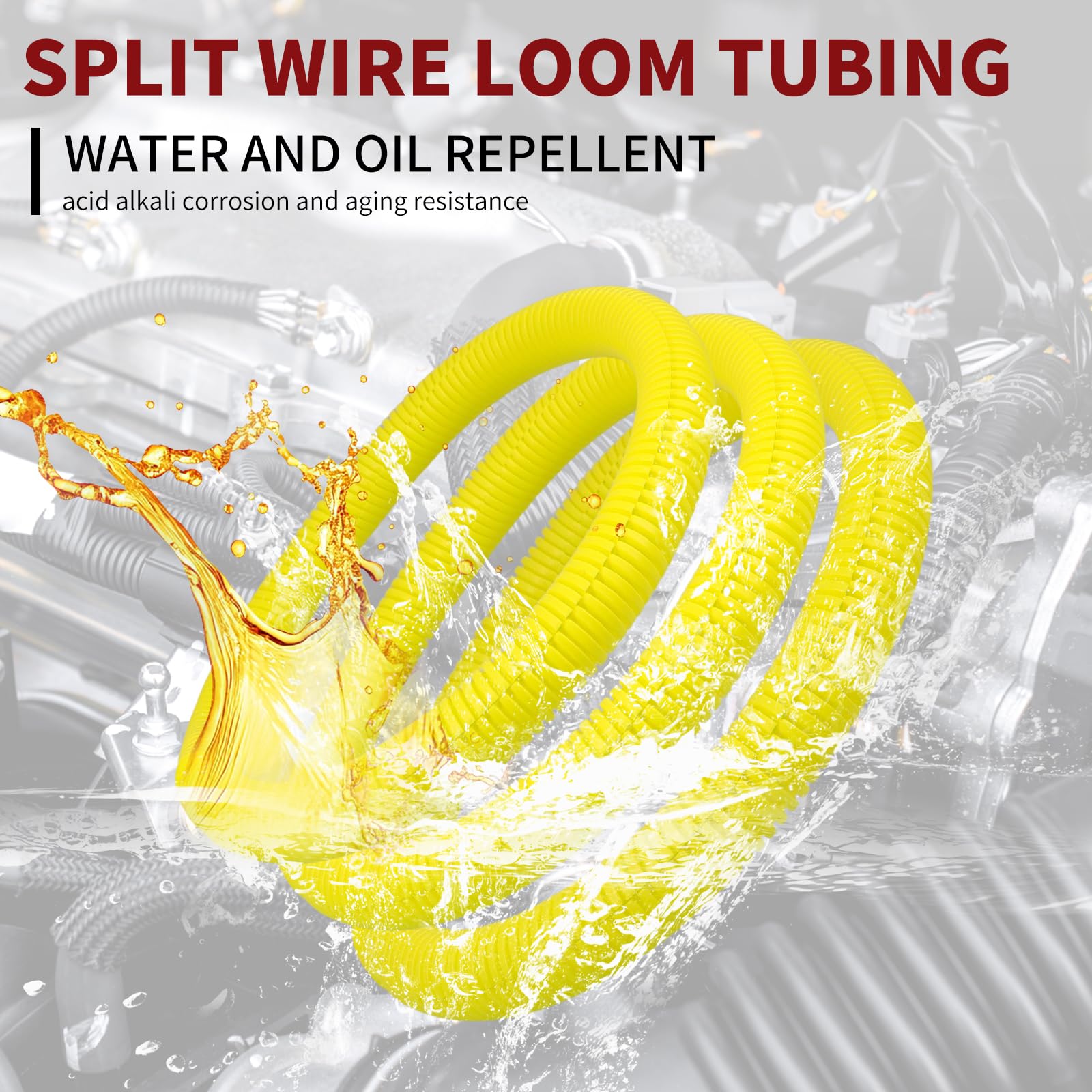 View 6