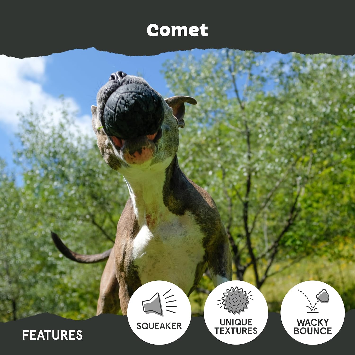 BarkBox Comet Super Chewer - Toy for Small Dogs image 4