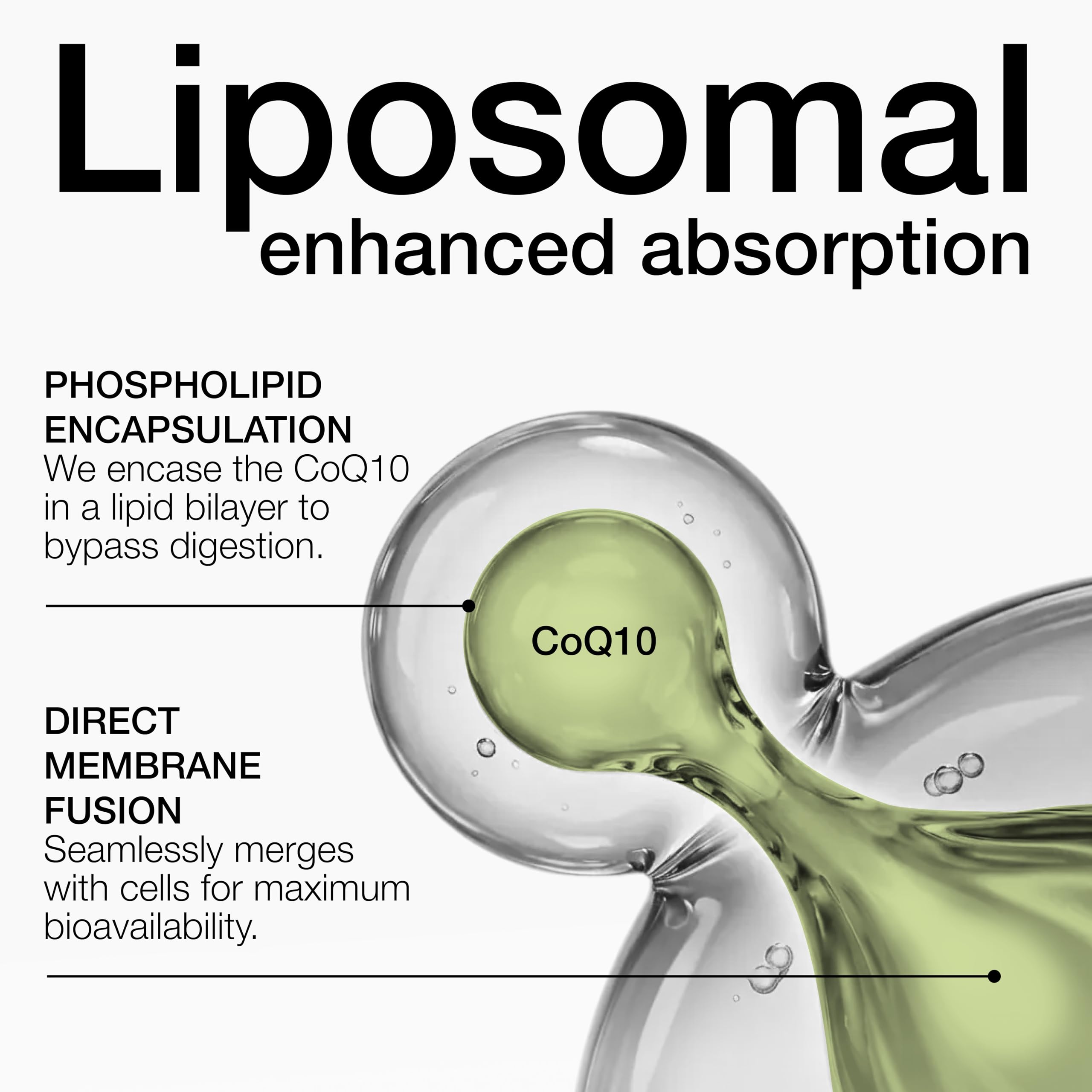 Liposomal CoQ10 400mg – 98% Pure Coenzyme Q10 — Amazon image 2