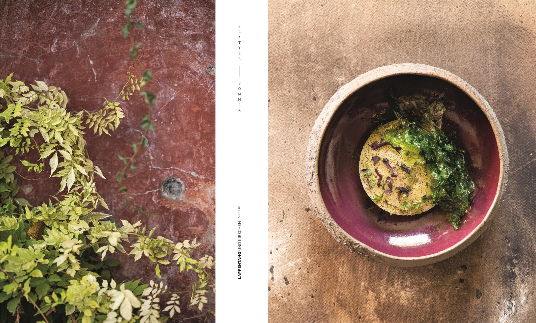 Mirazur: Im Zeichen des Mondes. 64 einzigartige Rezepte von Sternekoch Mauro Colagreco – biodynamisch und nachhaltig