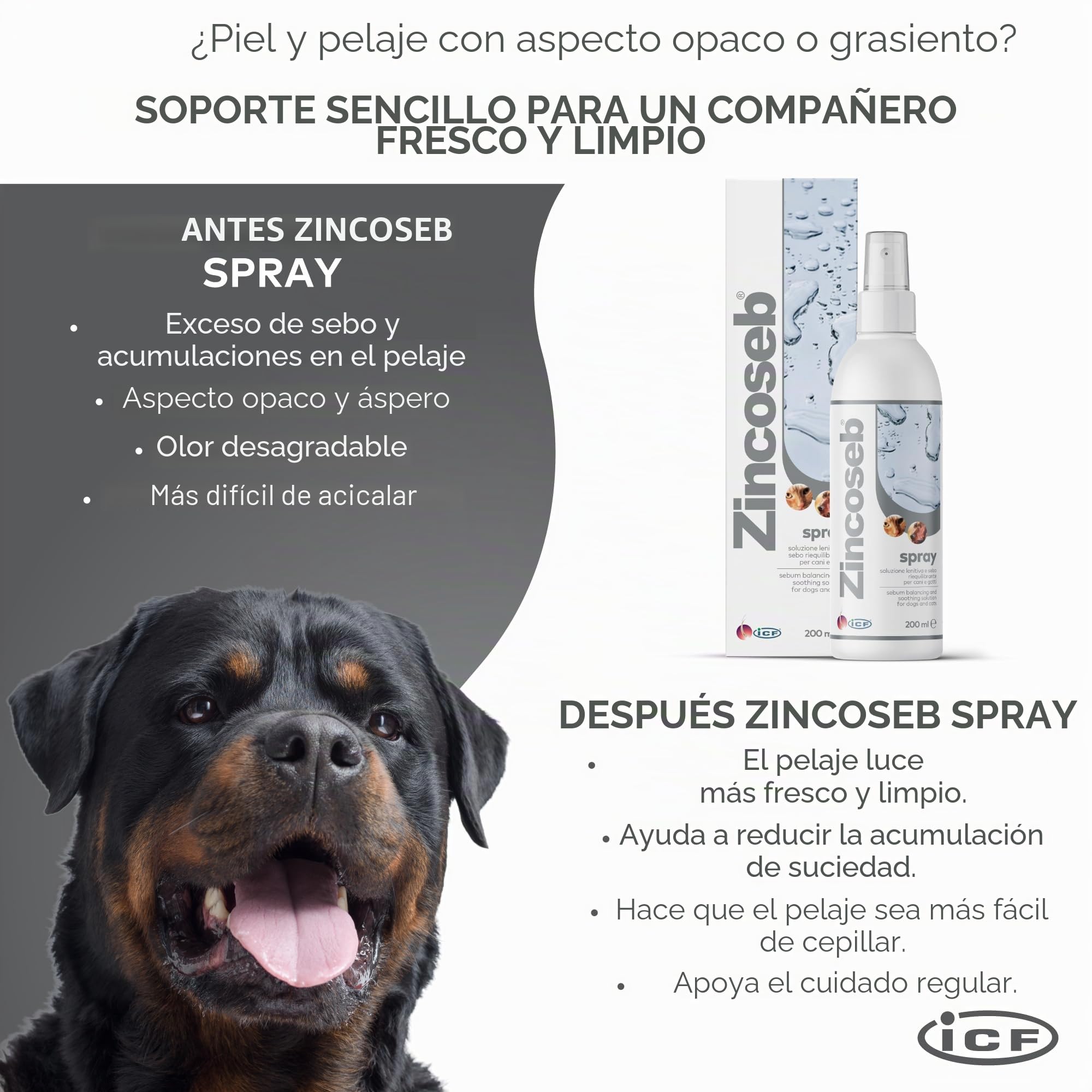 ICF Cif Zincoseb Cão Gato Spray 200 ml artigo para o seu Animal de estimação, Preto, Normal, 200