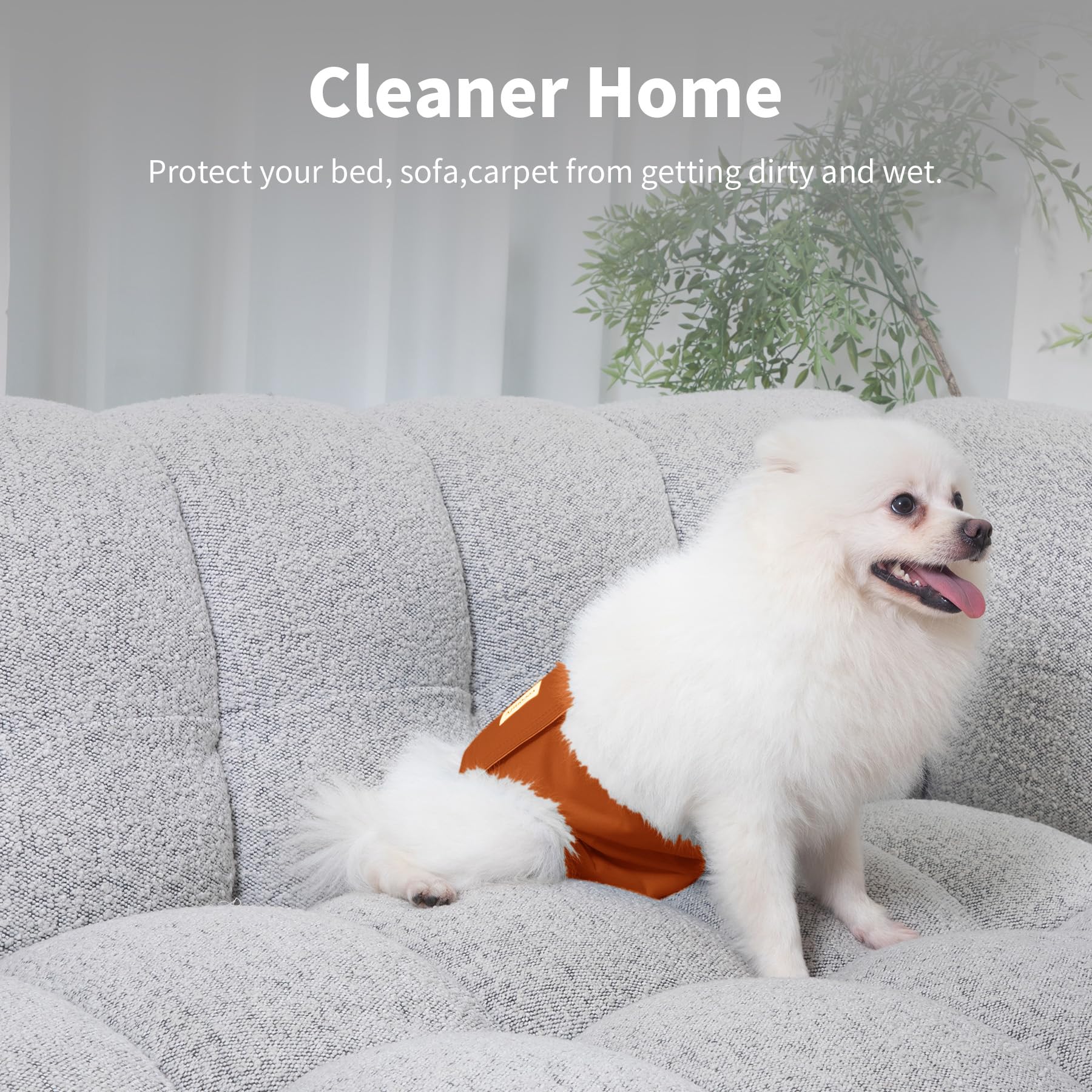 Vecomfy Bauchbänder für männliche Hunde (5er-Pack), hochwertig, waschbar, wiederverwendbar, extra groß, auslaufsicher, Größe XXL