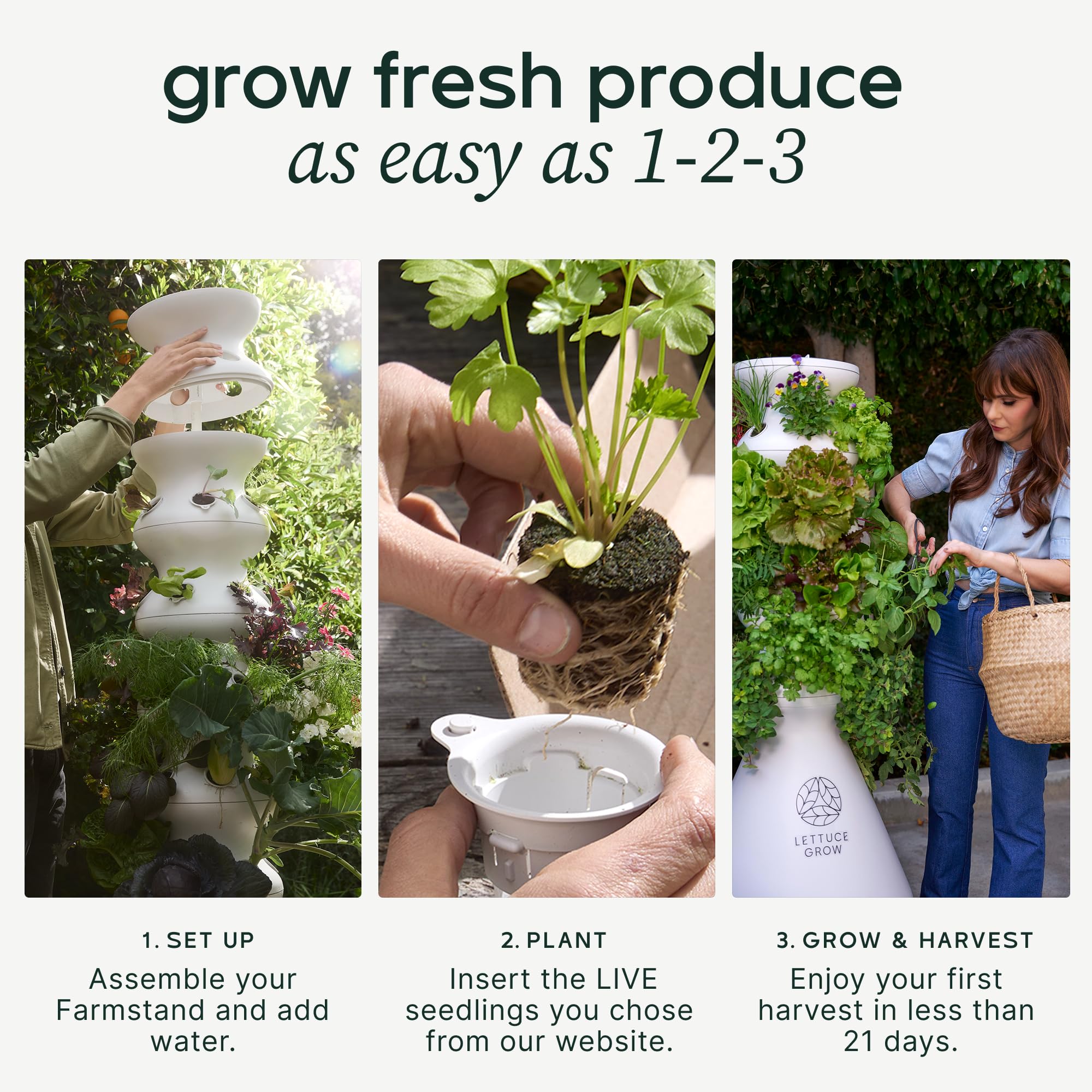 Lettuce Grow Farmstand Nook 4ft.7” Vertical Hydroponic Garden Tower - Self-Watering, Vertical Hydroponic Tower with LED Grow Lights, 20 Live Seedlings, Smart Timer - Indoor Vertical Growing Tower: Seedlings Included