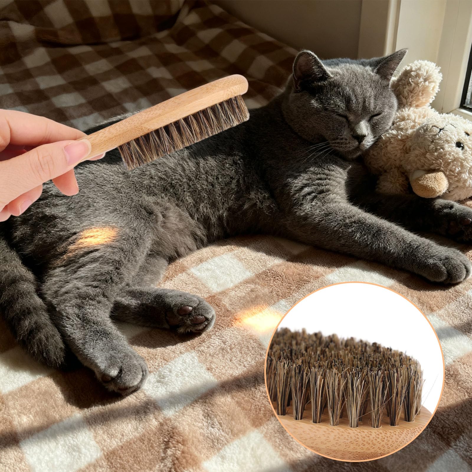Hunde- und Katzenbürste mit Weichen Borsten zum Haaren, Fellpflegebürste mit Wildschweinborsten Holzgriff Sanftes Massagewerkzeug für Kurz- Langhaarige Hunde Katzen Kätzchen Fellpflegezubehör
