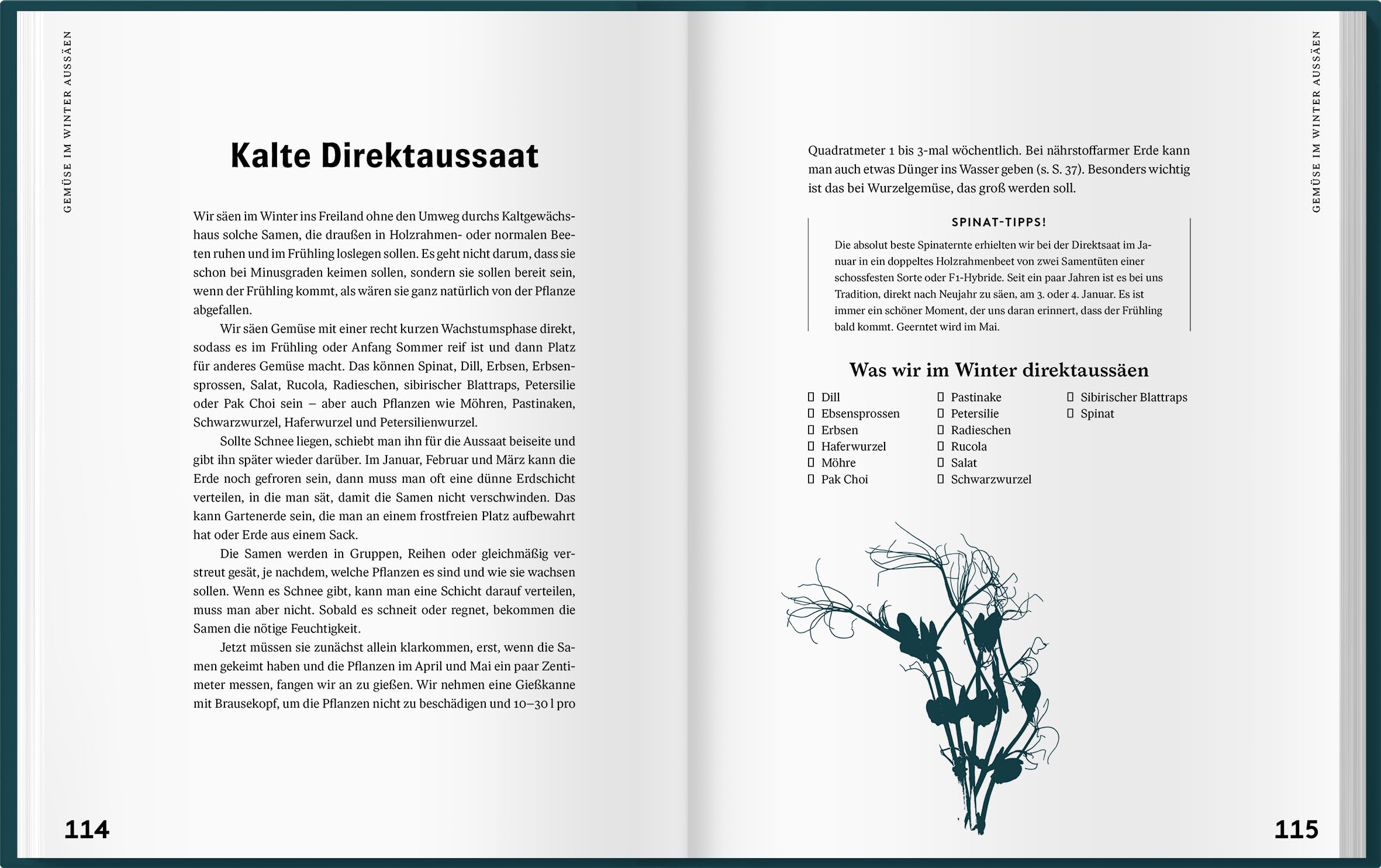 Mit Kaltanbau zu grünen Wundern: Für ganzjährige Erntefreude und robuste Pflanzen. Das ganze Jahr über aussäen, pflanzen und ernten: Gemüse, Stauden und Sommerblumen nachhaltig anbauen.