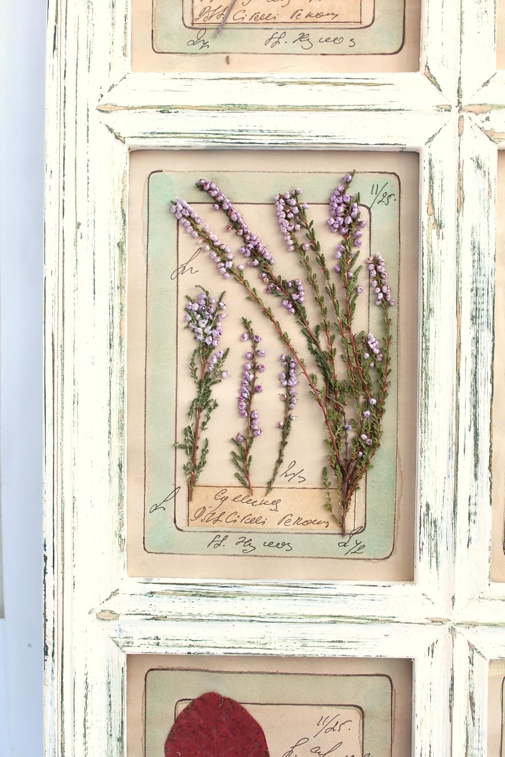 Pressed Herbs Frame, Large Floral Framed Art, Pressed Flower Art, Farmhouse Wall Art, Dried Flower Art