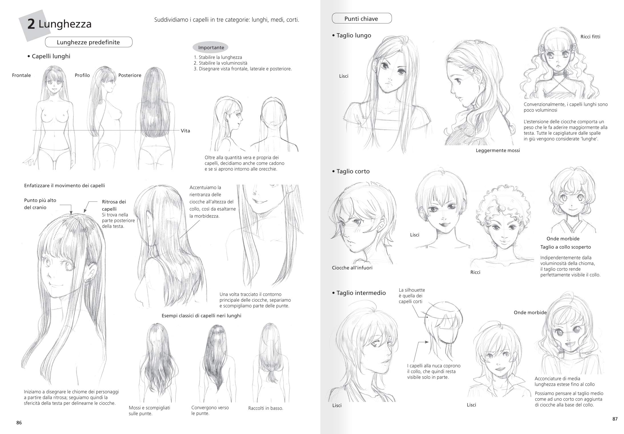 Ragazze attraenti. Anatomia e design