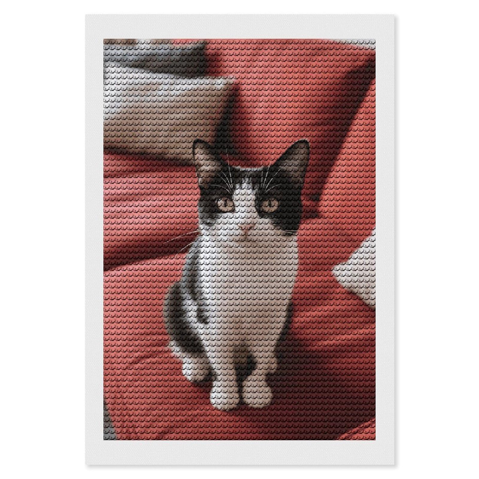 DWVTSLH Cat on The Sofa Diamond Painting Kits for Adults, Personalized Diamond Photo Art Full Drill, DIY 5D Diamond Art Painting Kits for Beginners, Home Wall Decor 8"x12"
