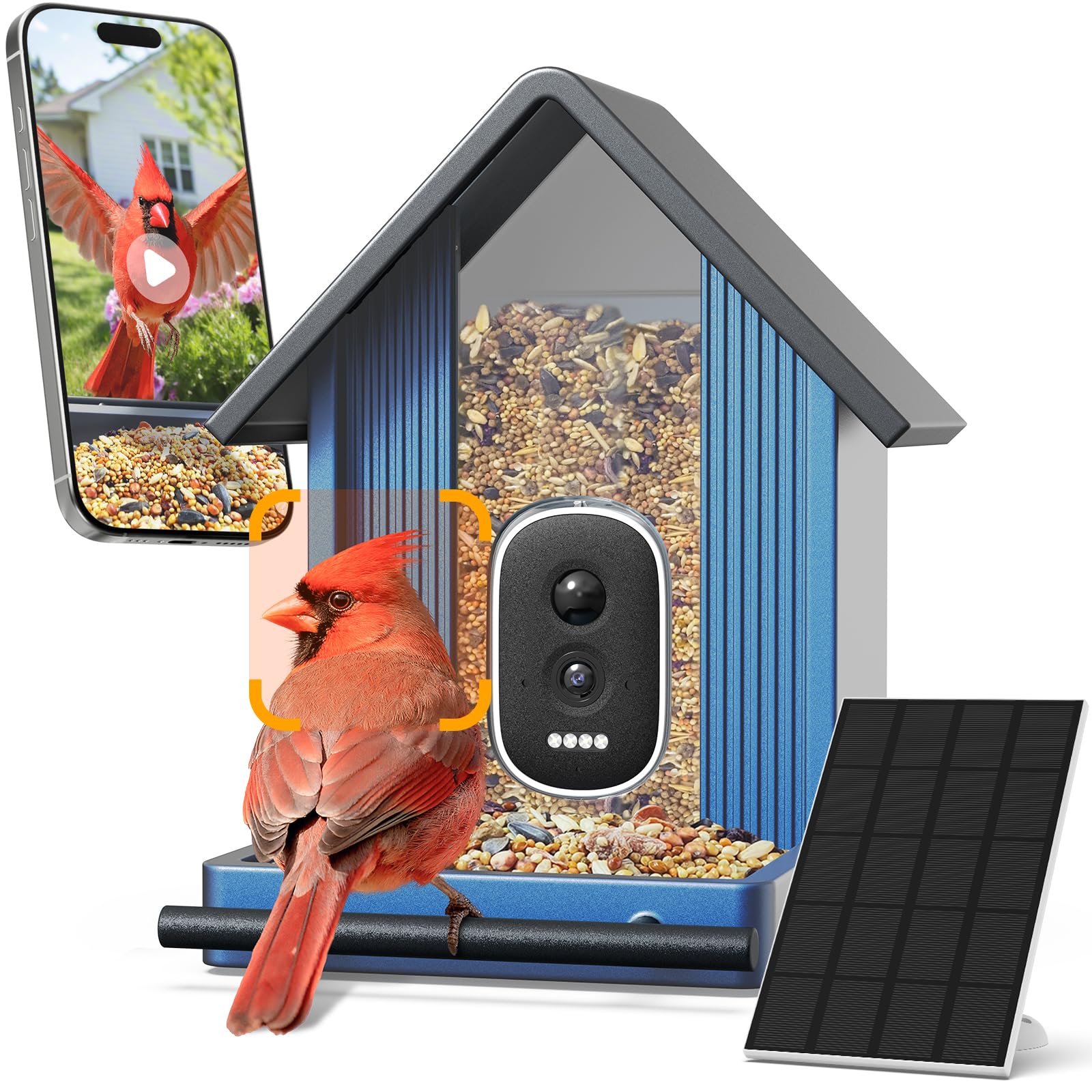 Smart Metal Bird Feeder with Camera, Light Blue