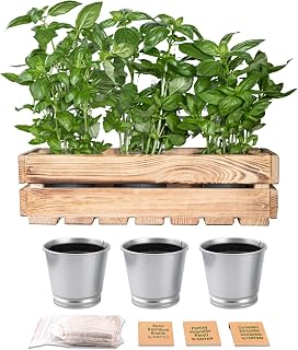 ORTEN Caisse en Bois Vintage Jardin Potager Intérieur Rangement Legumes Panier de Cagette Bois Deco 42x11x15cm - Fabriquée en UE