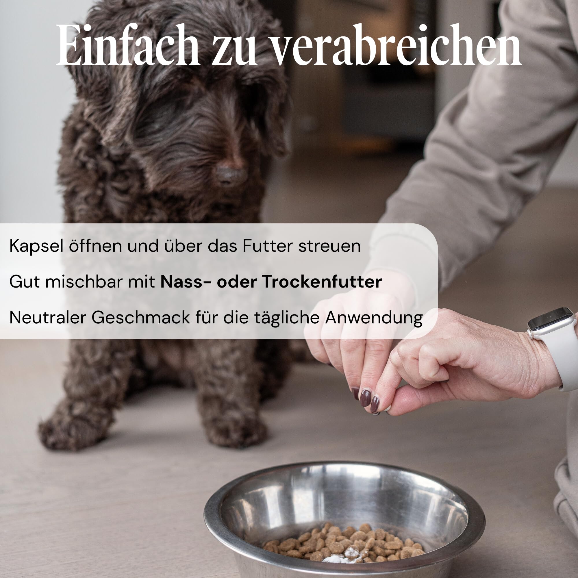 L-lisina per cani e gatti – Capsule di L-lisina ad alto dosaggio 670 mg per sostenere il sistema immunitario – Alimenti complementari amminoacidi – 100 capsule