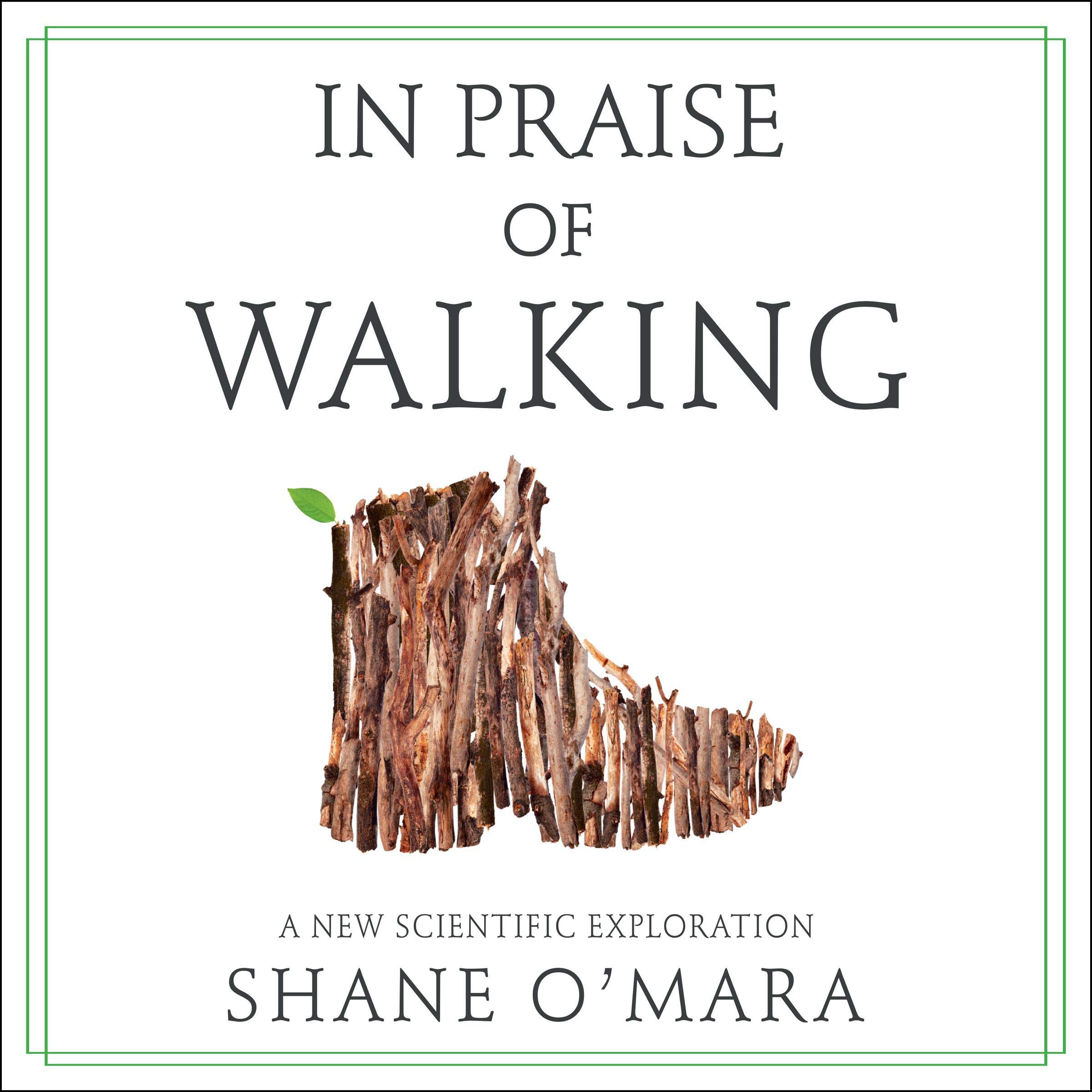 Cover art for In Praise of Walking