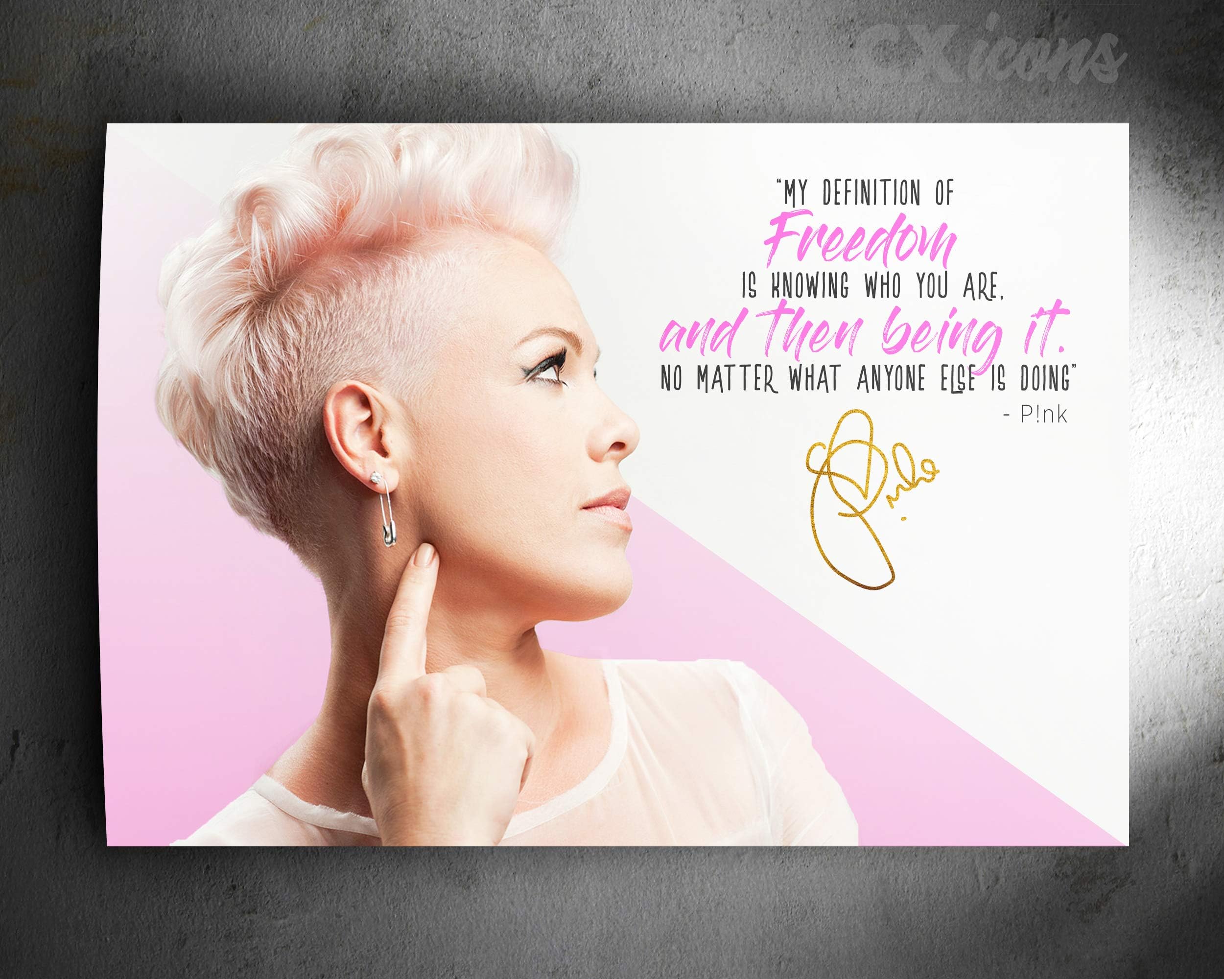 CX ICONS Pink Quote - Photo Print Poster - Unframed - Extraordinary Quality - Freedom (45.7 x 30.5 inches)