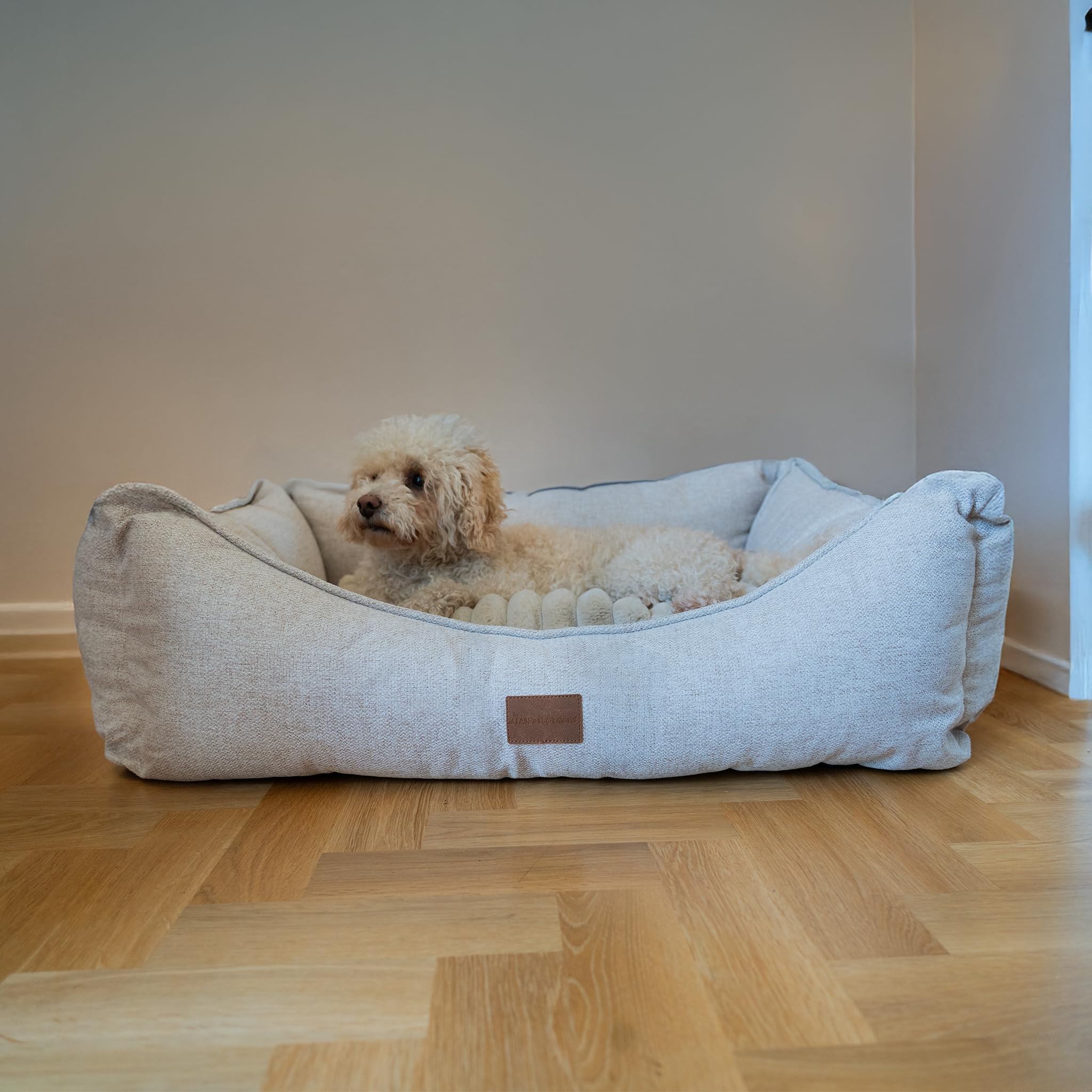 allpetsolutions Willow Premium Luxury Range Dog Bed - Warm, Velvety Cushion, Machine Washable Dog Bed with Raised Rim - Extra Soft Reversible, Removable Pillow Cushion - Extra Large, Cream